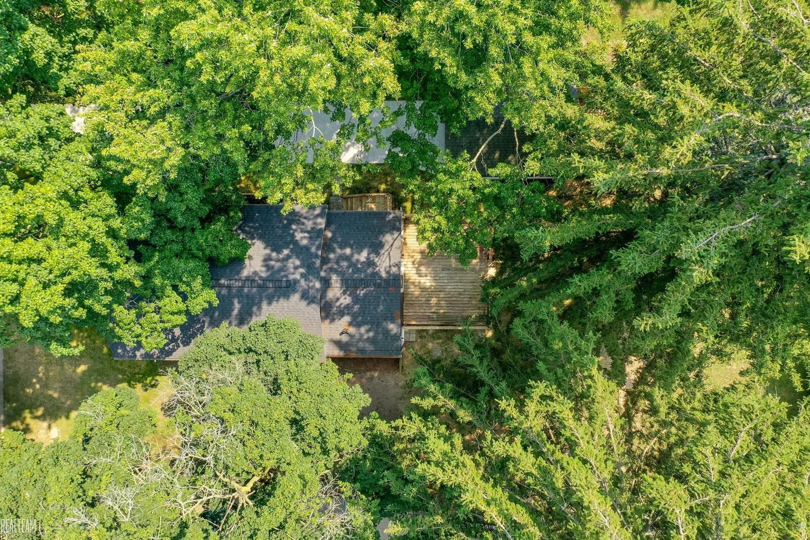 23154 Torrey Street, MI — Photo 4