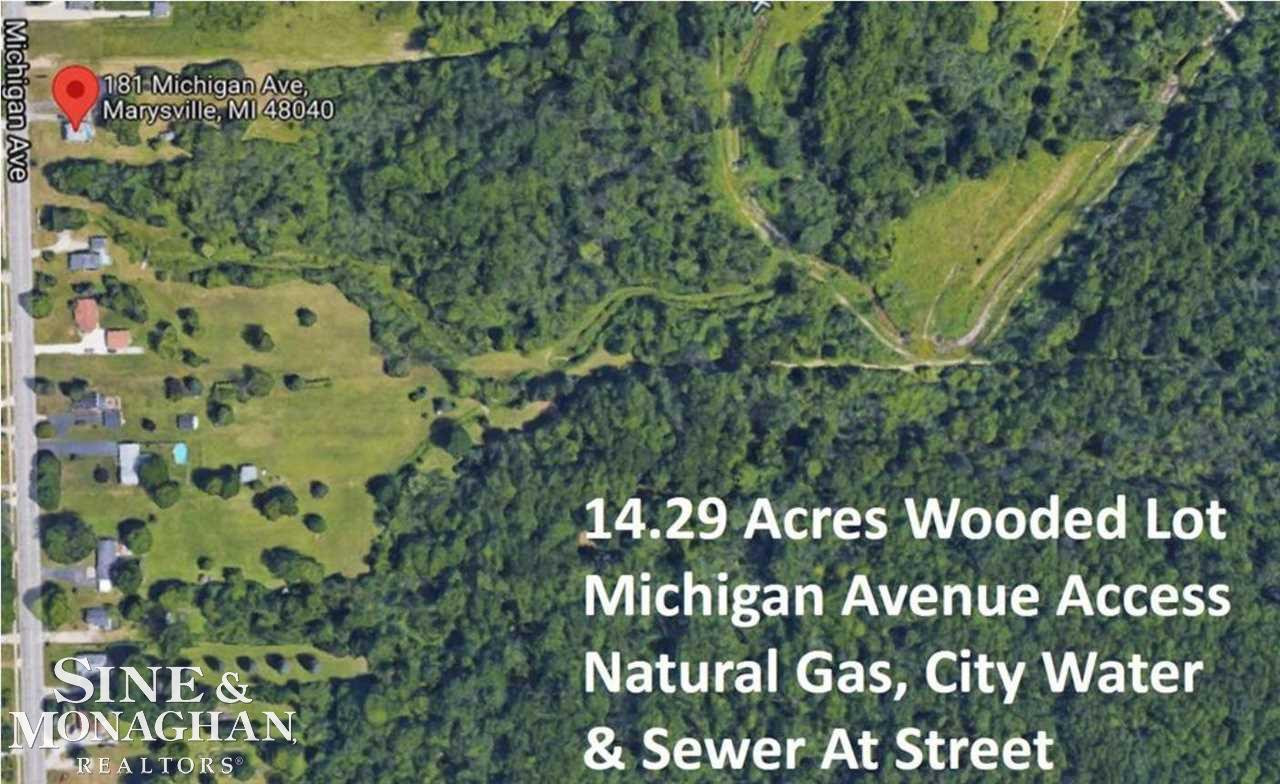 V/L MICHIGAN Road, Marysville, MI 48040 — Photo 2