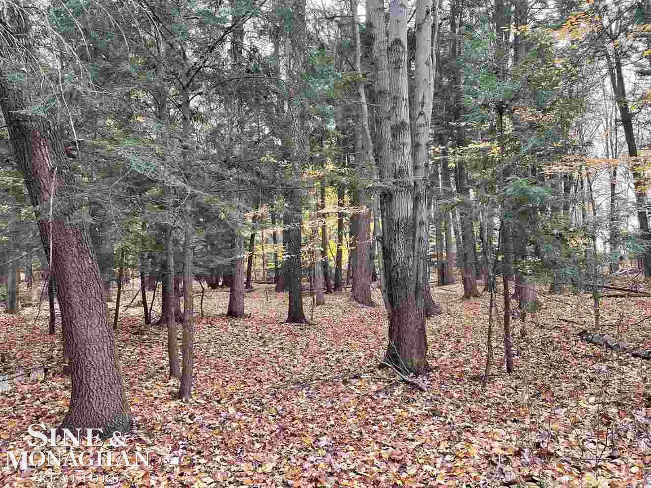 V/L MICHIGAN Road, Marysville, MI 48040 — Photo 4