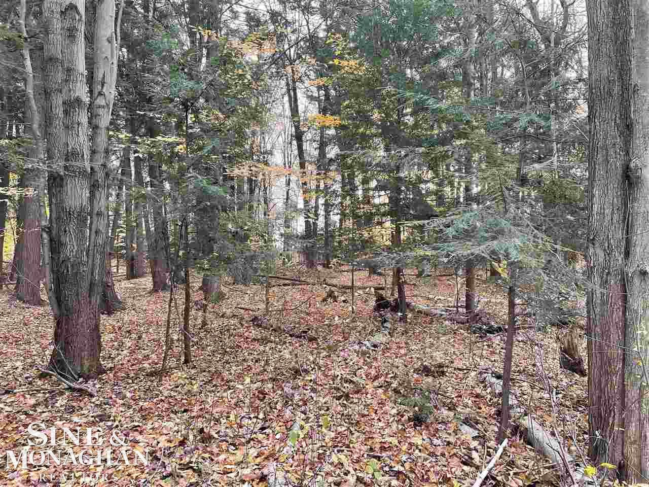 V/L MICHIGAN Road, Marysville, MI 48040 — Photo 5