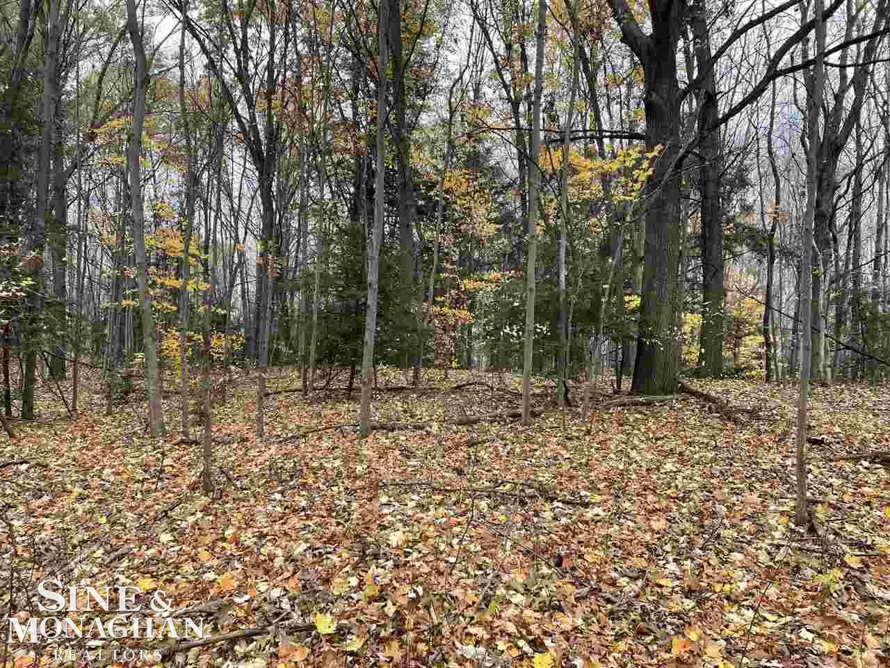V/L MICHIGAN Road, Marysville, MI 48040 — Photo 6