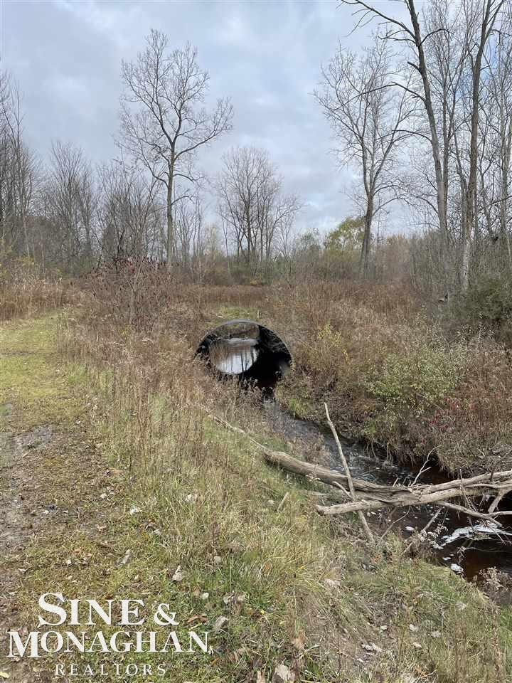 V/L MICHIGAN Road, Marysville, MI 48040 — Photo 9