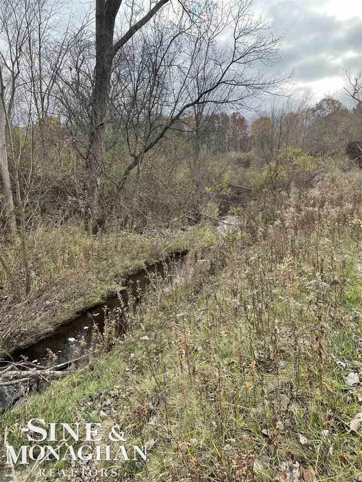 V/L MICHIGAN Road, Marysville, MI 48040 — Photo 10