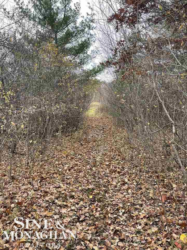 V/L MICHIGAN Road, Marysville, MI 48040 — Photo 11