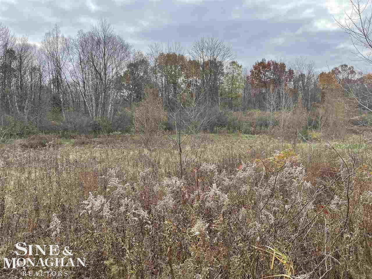 V/L MICHIGAN Road, Marysville, MI 48040 — Photo 13