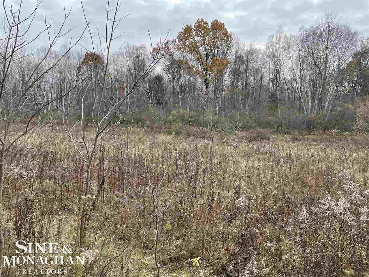 V/L MICHIGAN Road, Marysville, MI 48040 — Photo 14