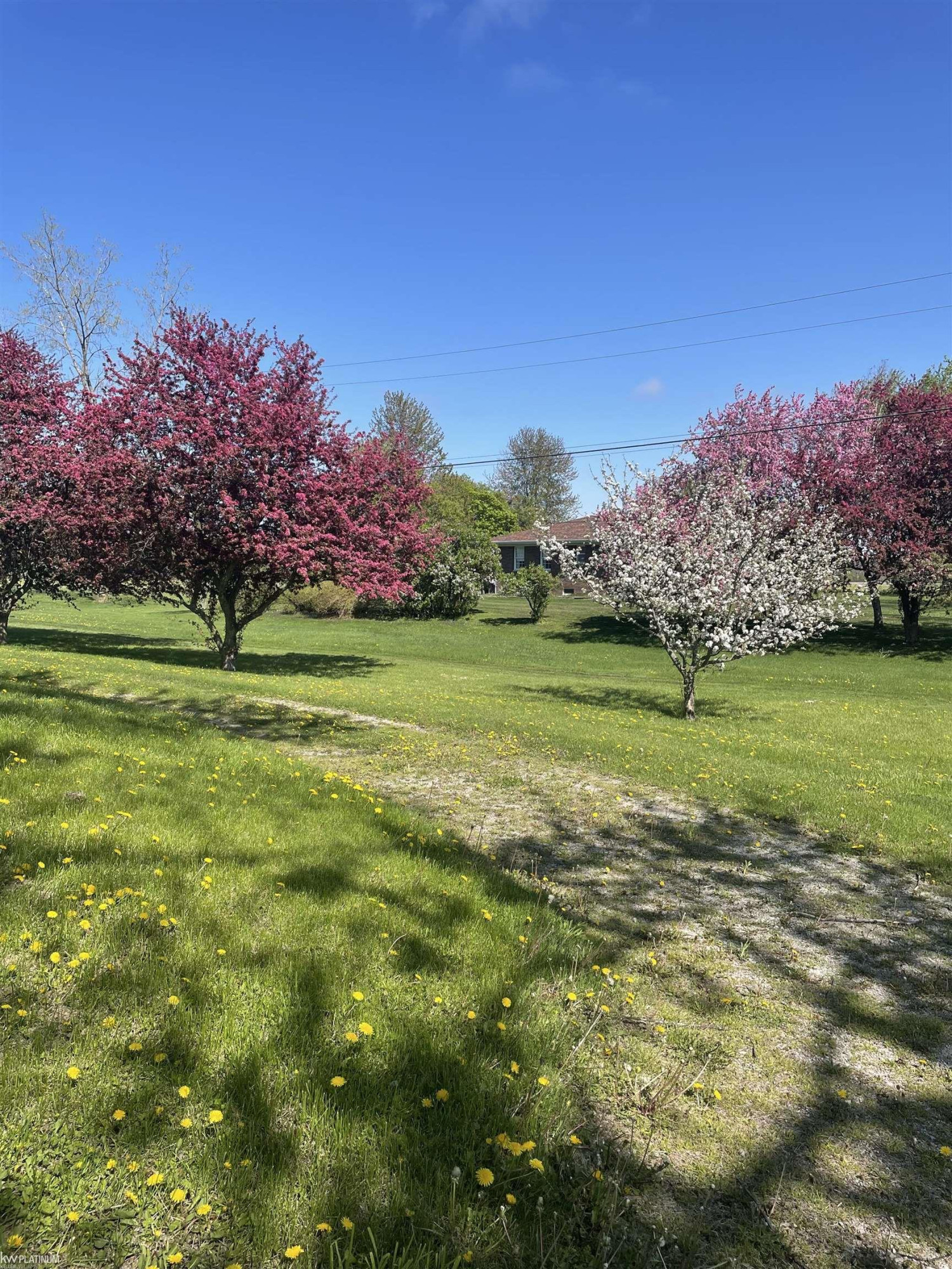 5840 Rattle Run Road, MI 48079 — Photo 22