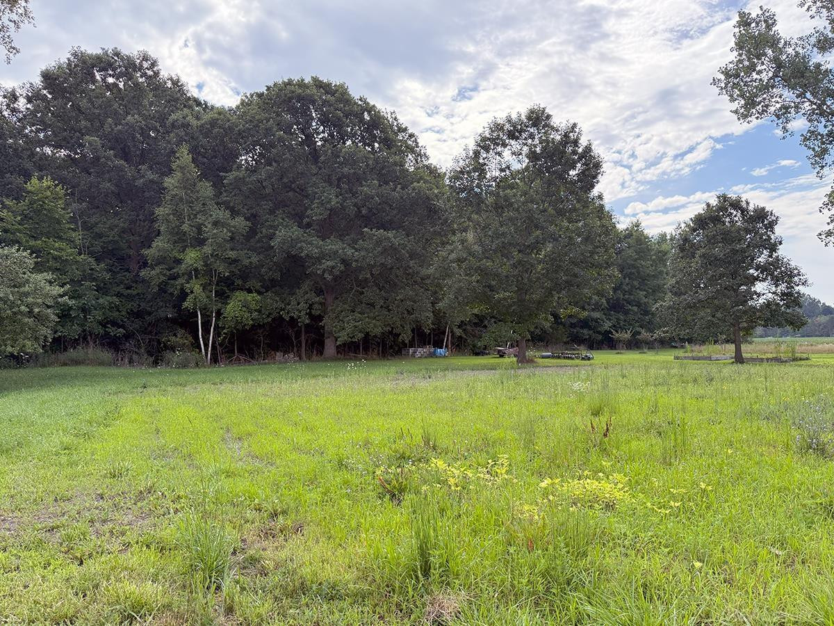 10765 Dorwood Road, Burt, MI 48417 — Photo 34
