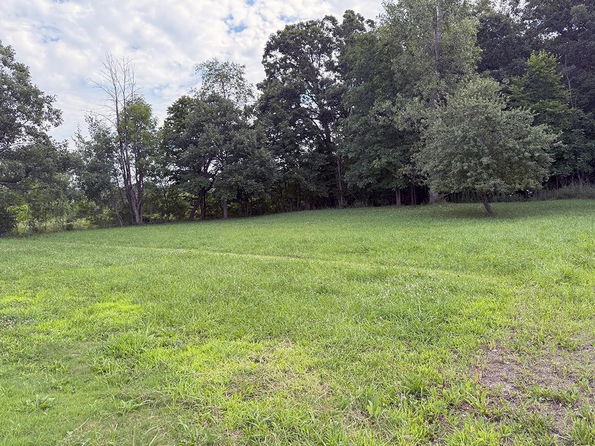 10765 Dorwood Road, Burt, MI 48417 — Photo 35