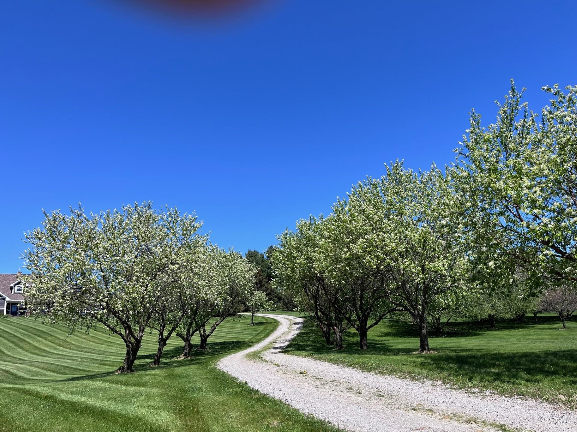 3554 Corey Lane, Lapeer, MI 48446 — Photo 57