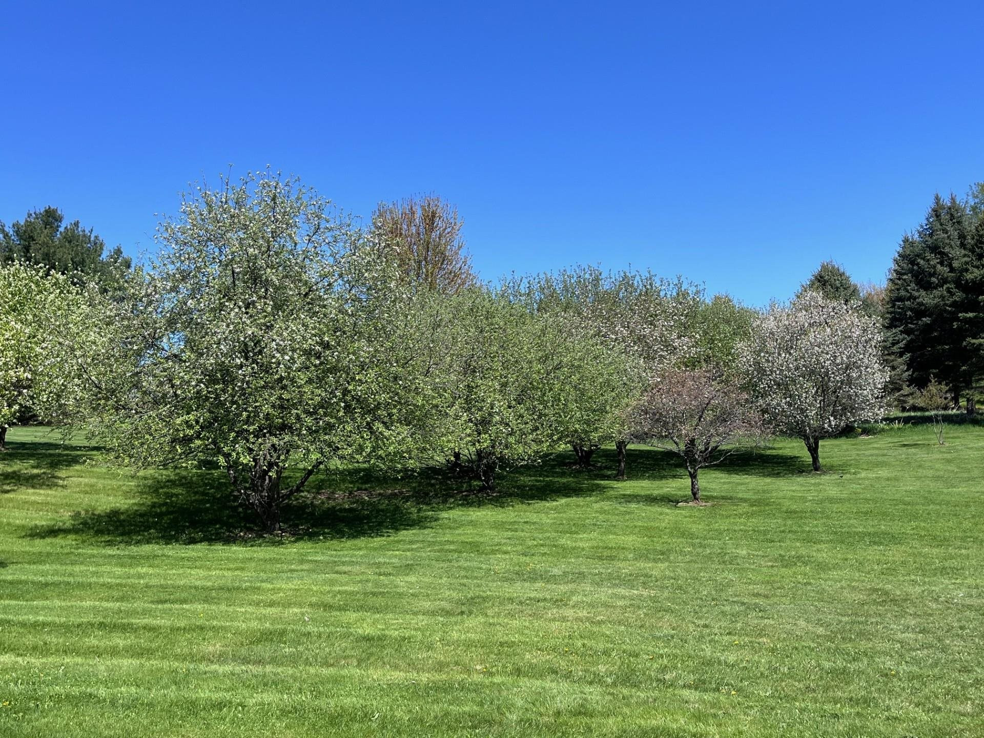 3554 Corey Lane, Lapeer, MI 48446 — Photo 58