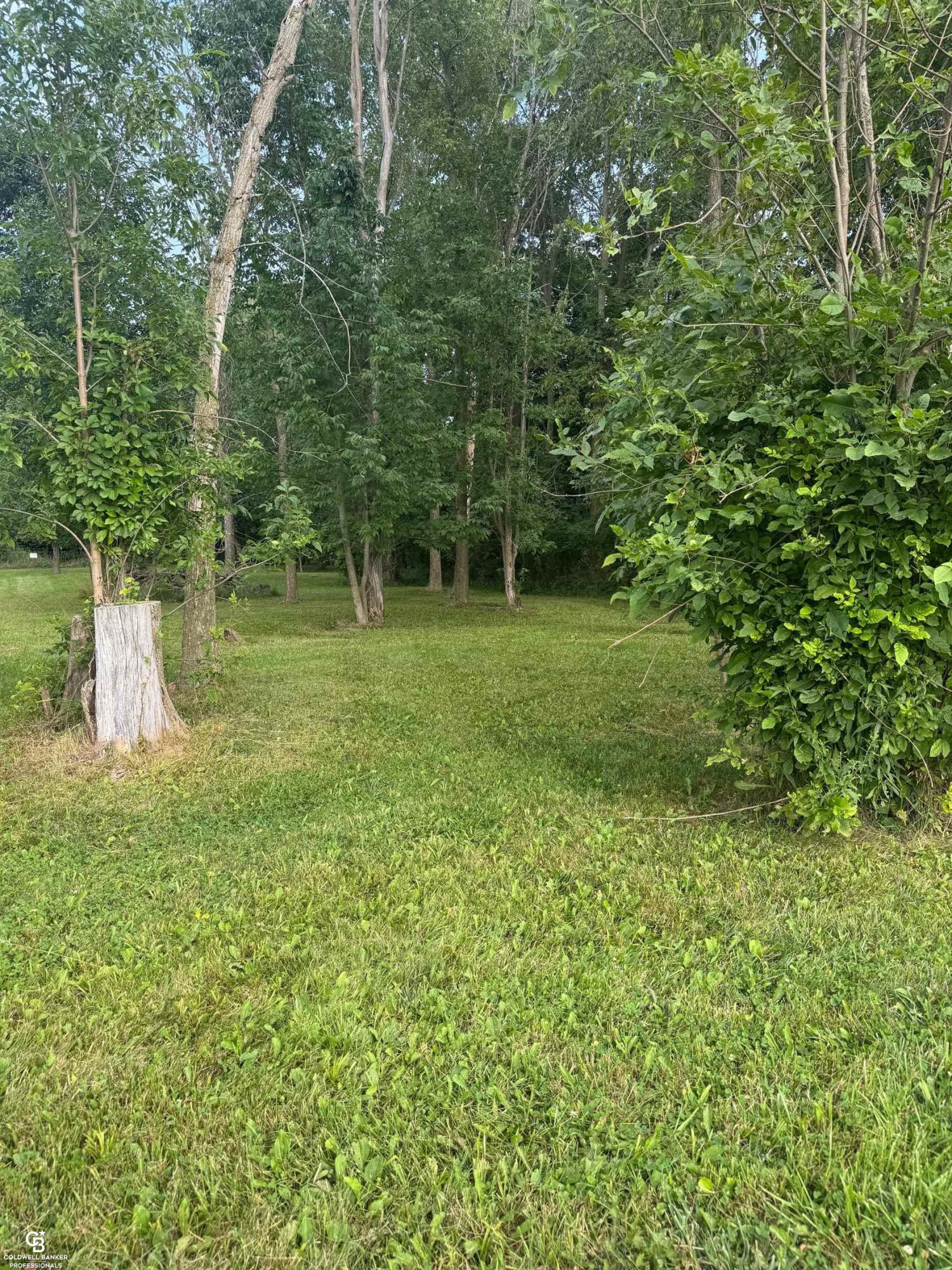 6036 N Lake Road, Otter Lake, MI 48464 — Photo 63