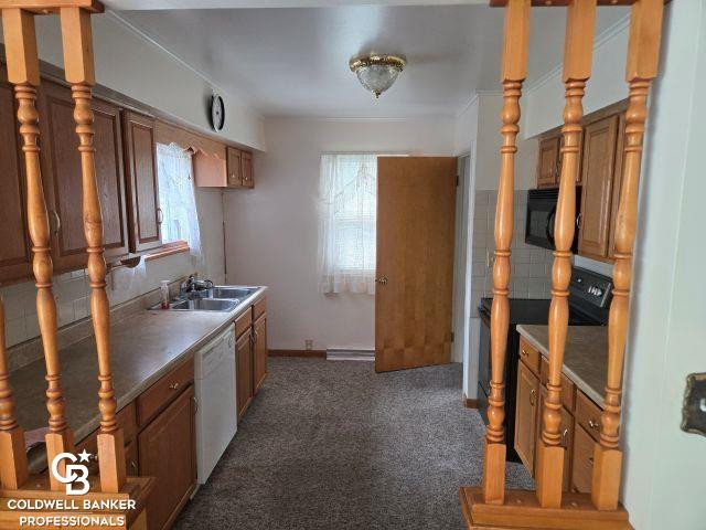 307 Mary Street, Yale, MI 48097 — Photo 4