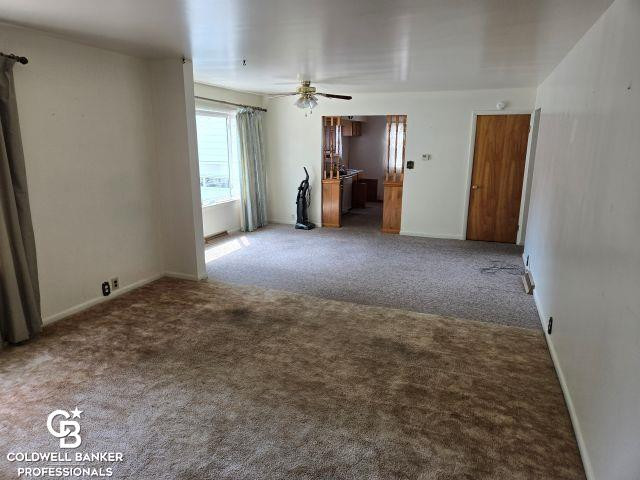307 Mary Street, Yale, MI 48097 — Photo 9