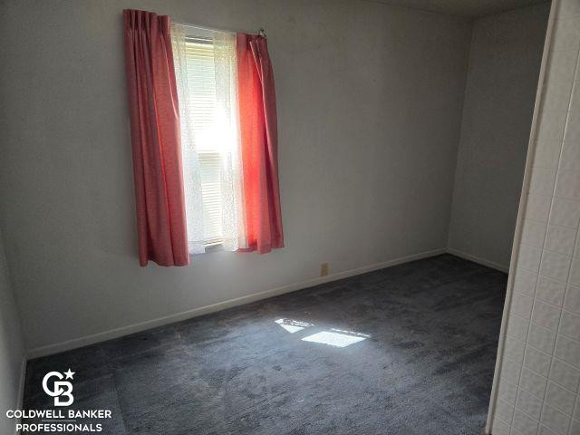 307 Mary Street, Yale, MI 48097 — Photo 14