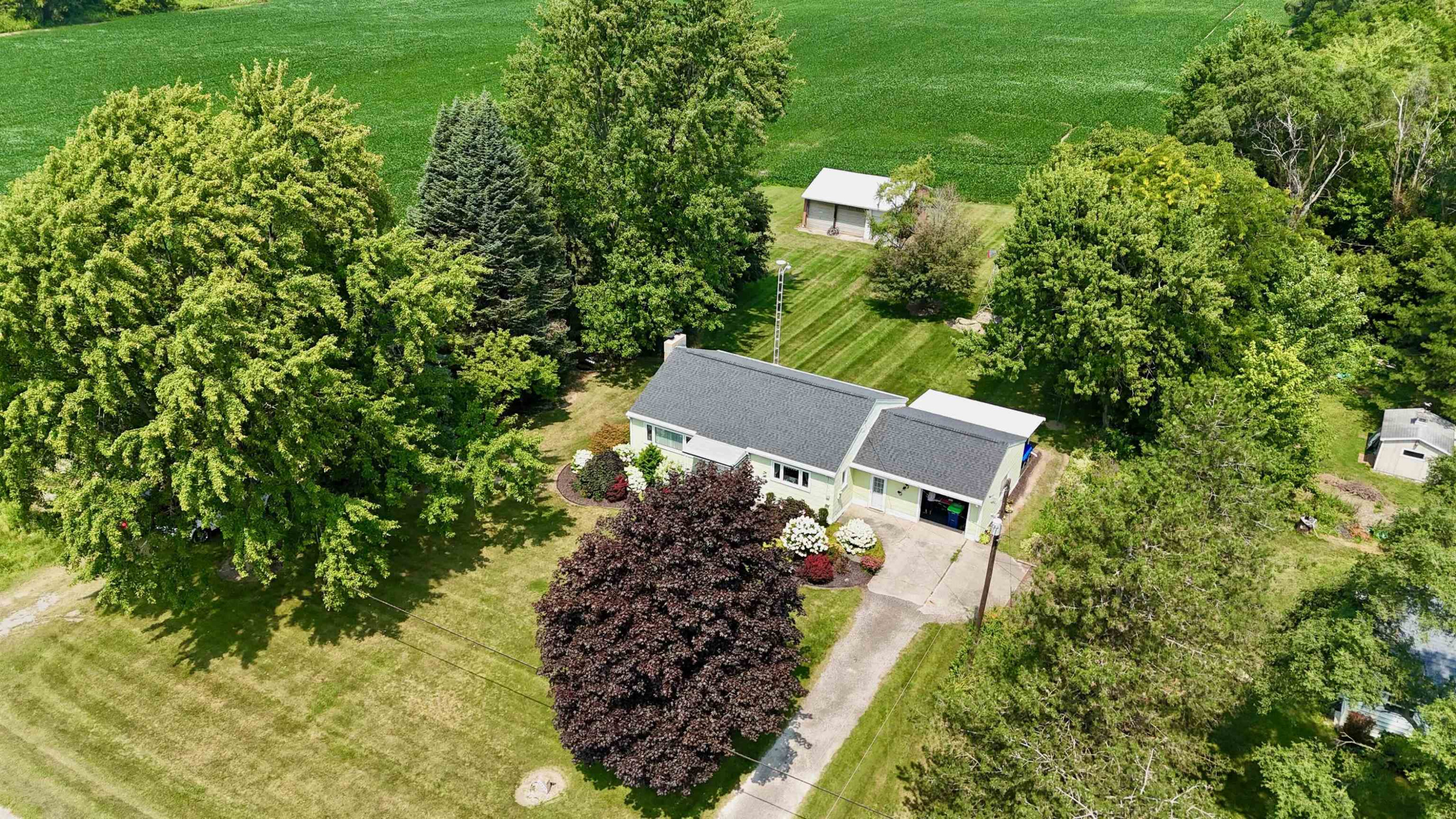 12490 W Brady Road, Chesaning, MI 48616 — Photo 3