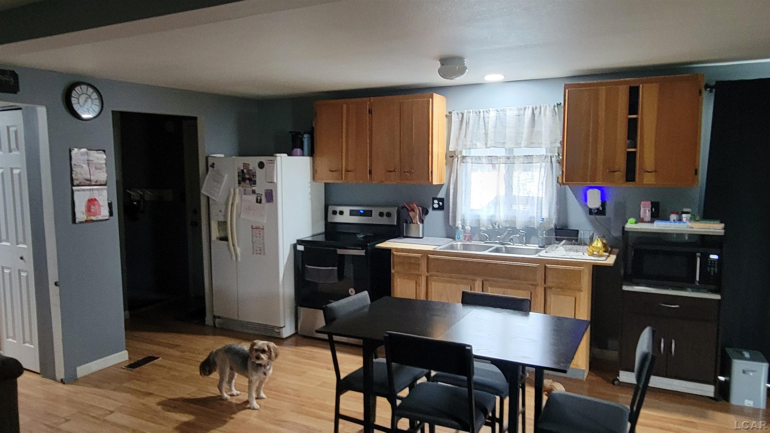 507 Page Street, Morenci, MI 49256 — Photo 9