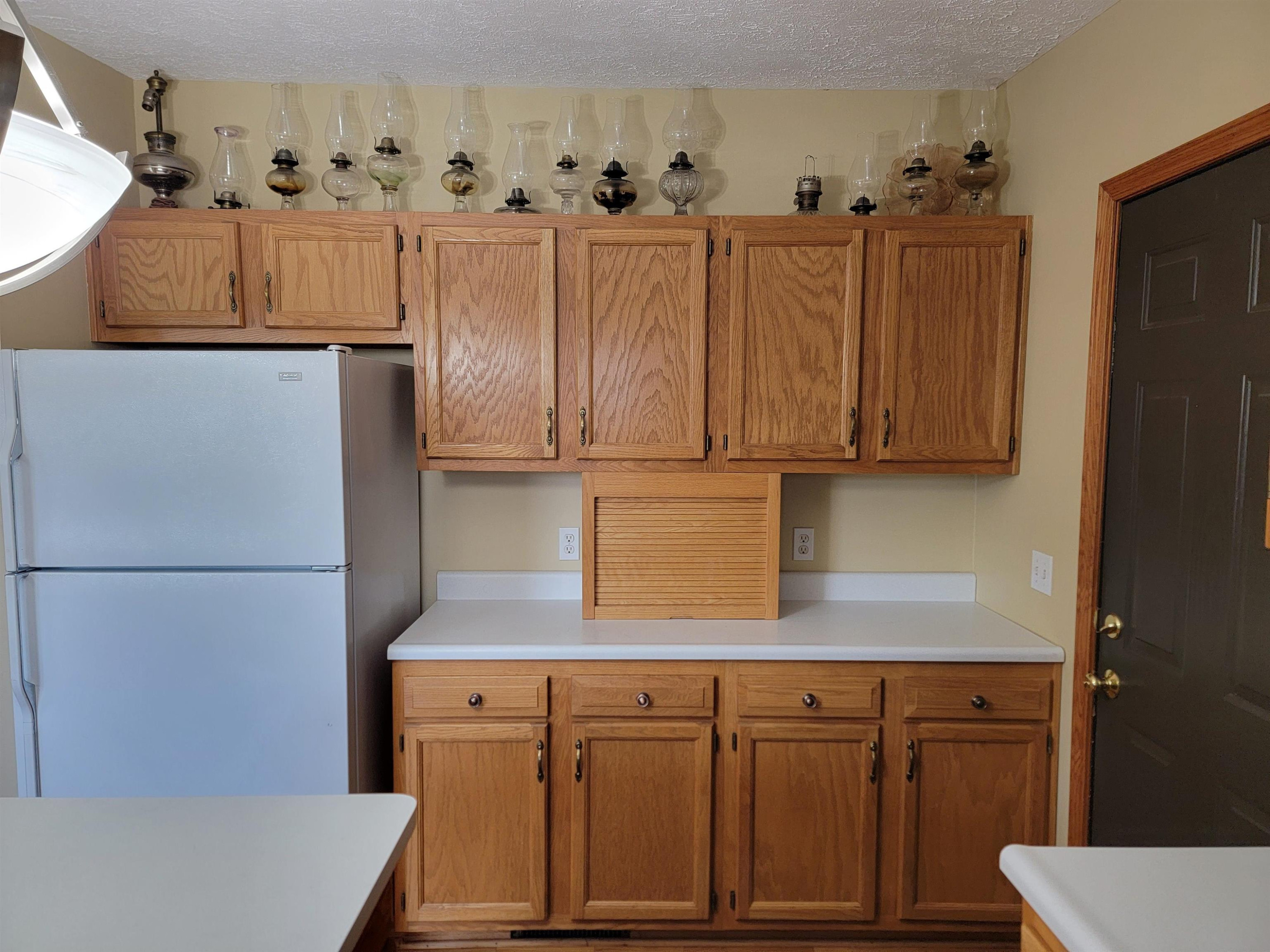 9889 Ditch Road, Chesaning, MI 48616 — Photo 13