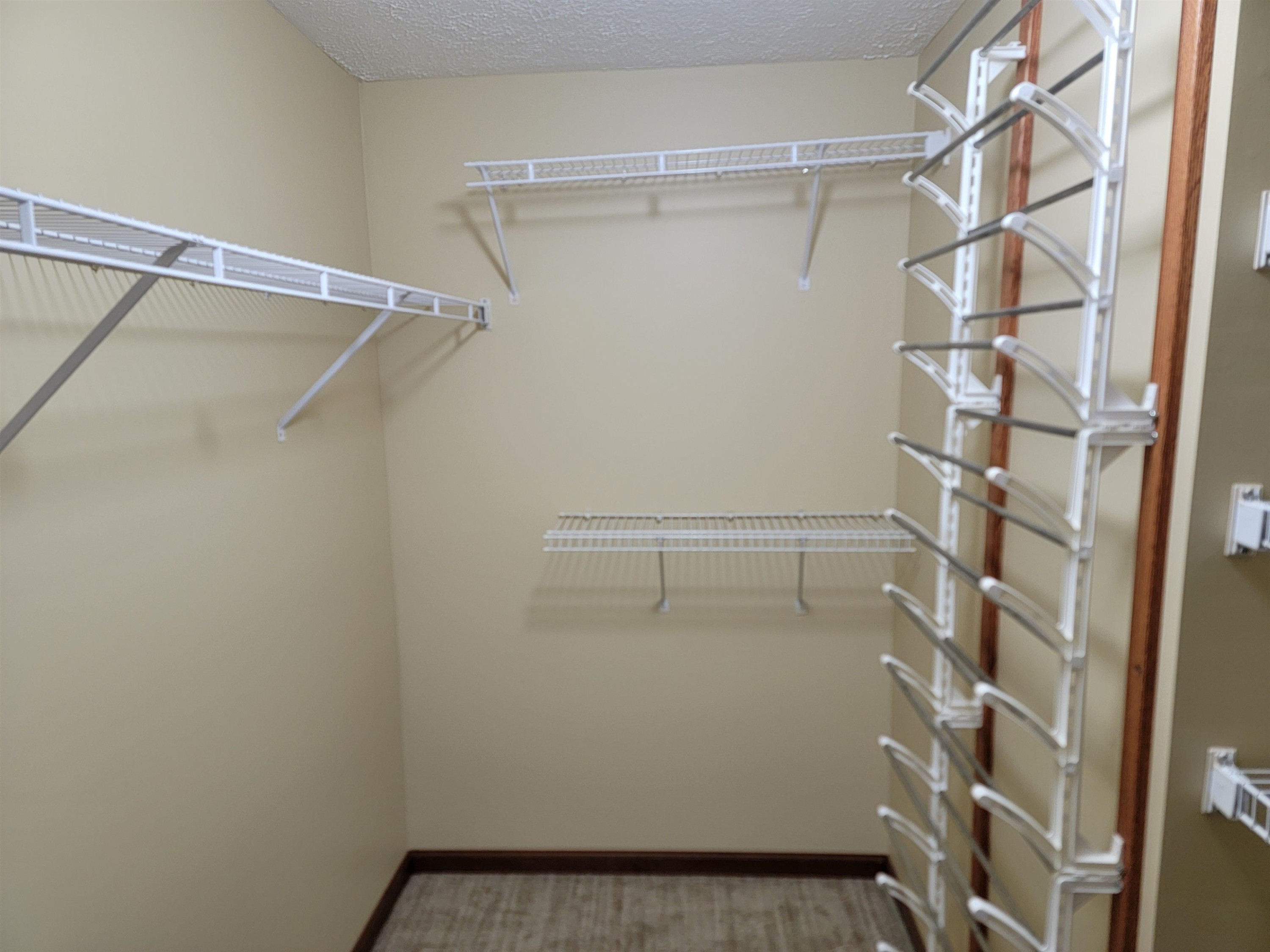9889 Ditch Road, Chesaning, MI 48616 — Photo 25