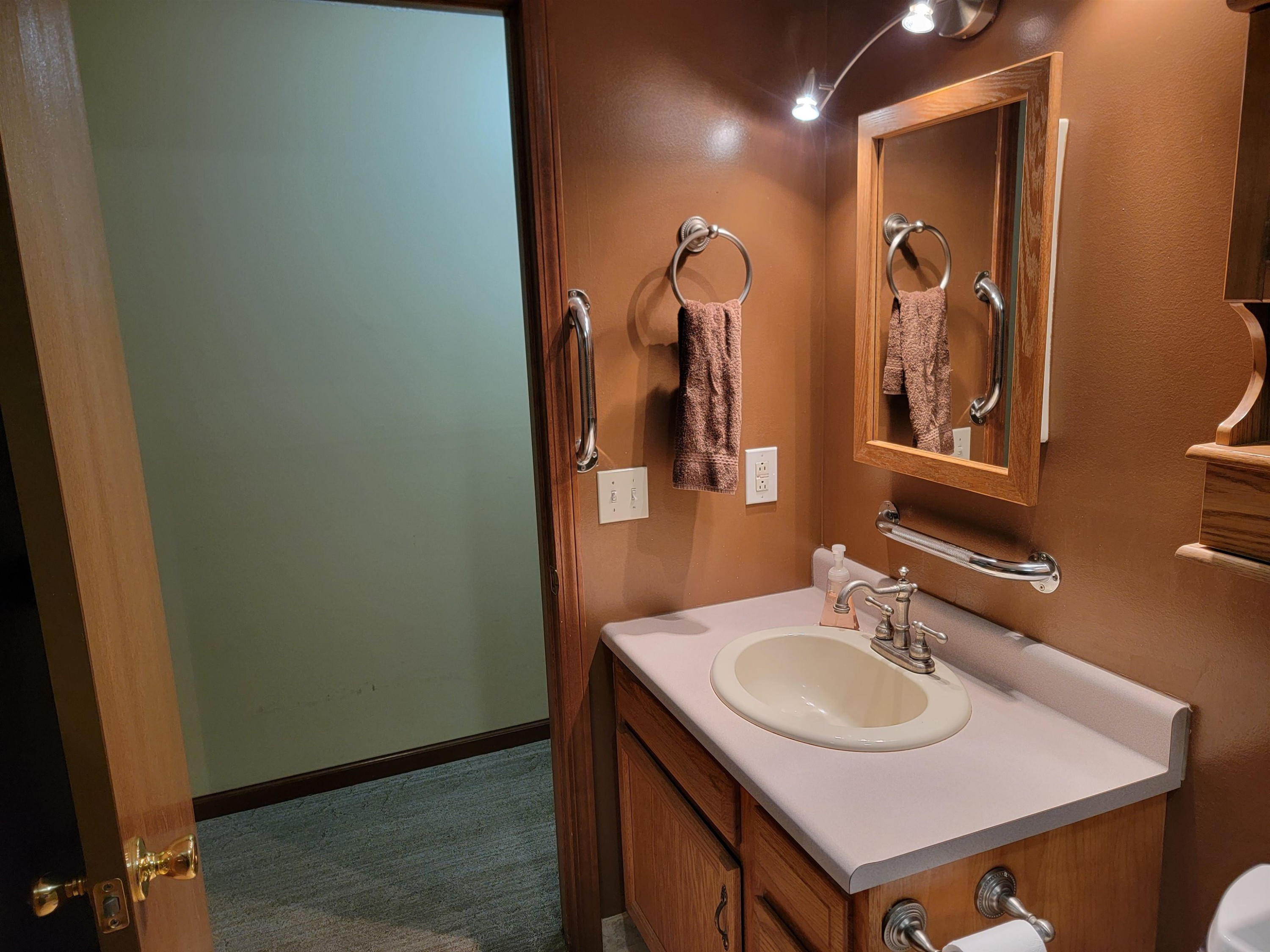 9889 Ditch Road, Chesaning, MI 48616 — Photo 32