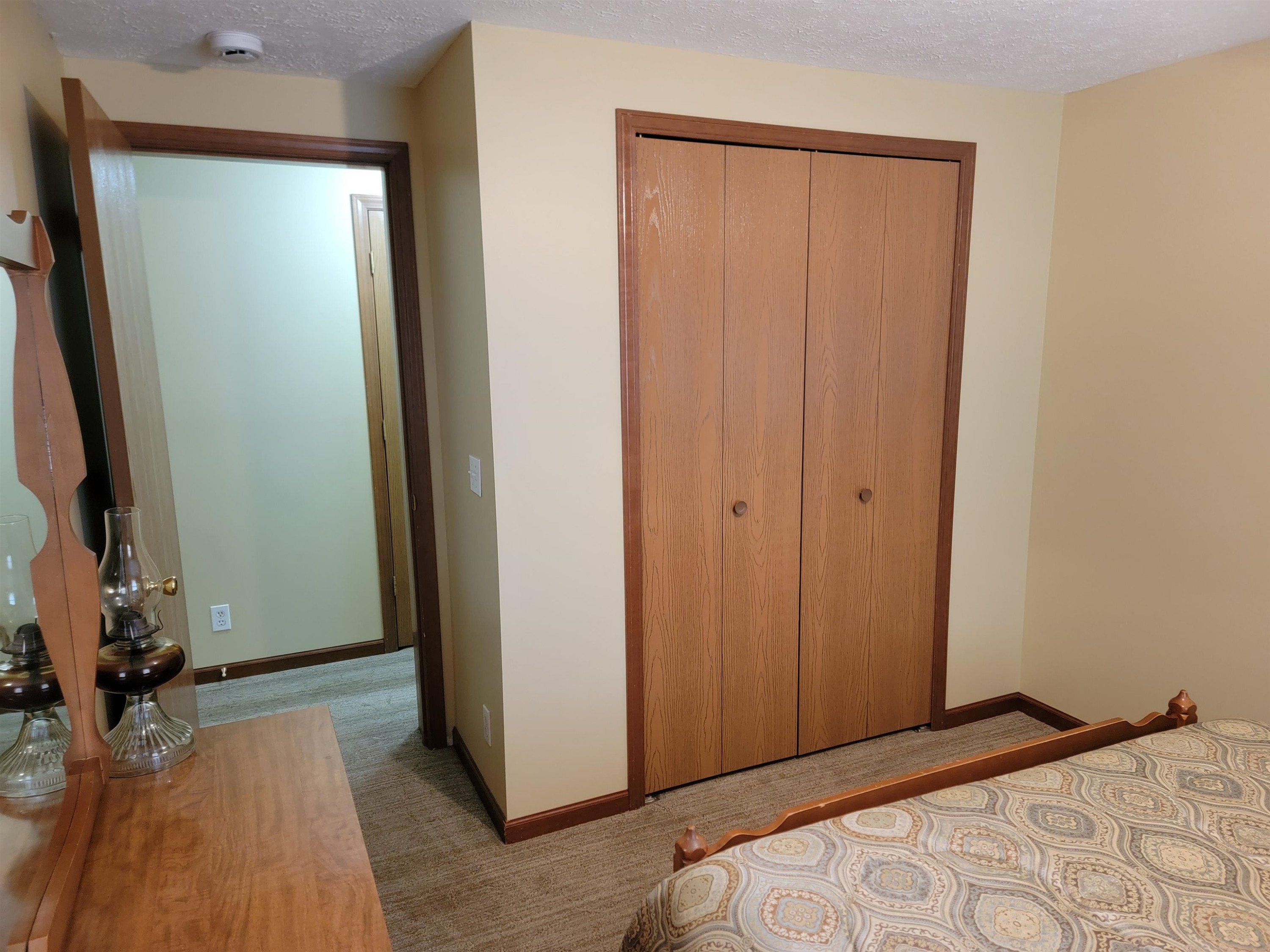 9889 Ditch Road, Chesaning, MI 48616 — Photo 35