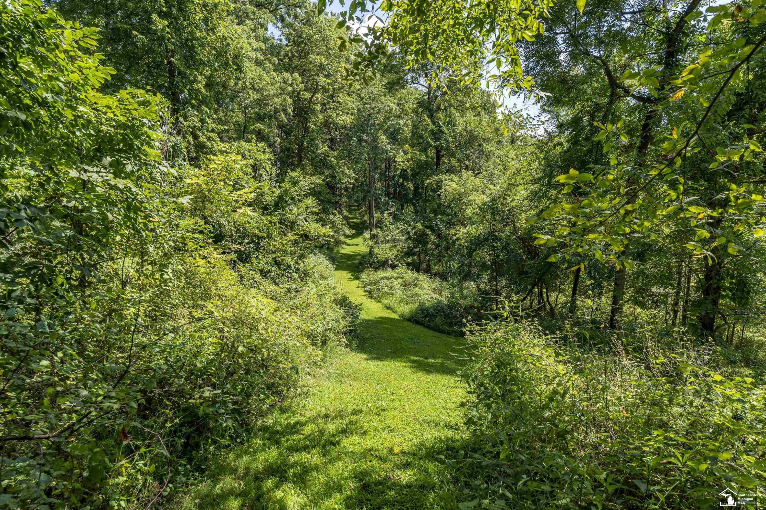 12701 Ayres Highway, Tipton, MI 49287 — Photo 57