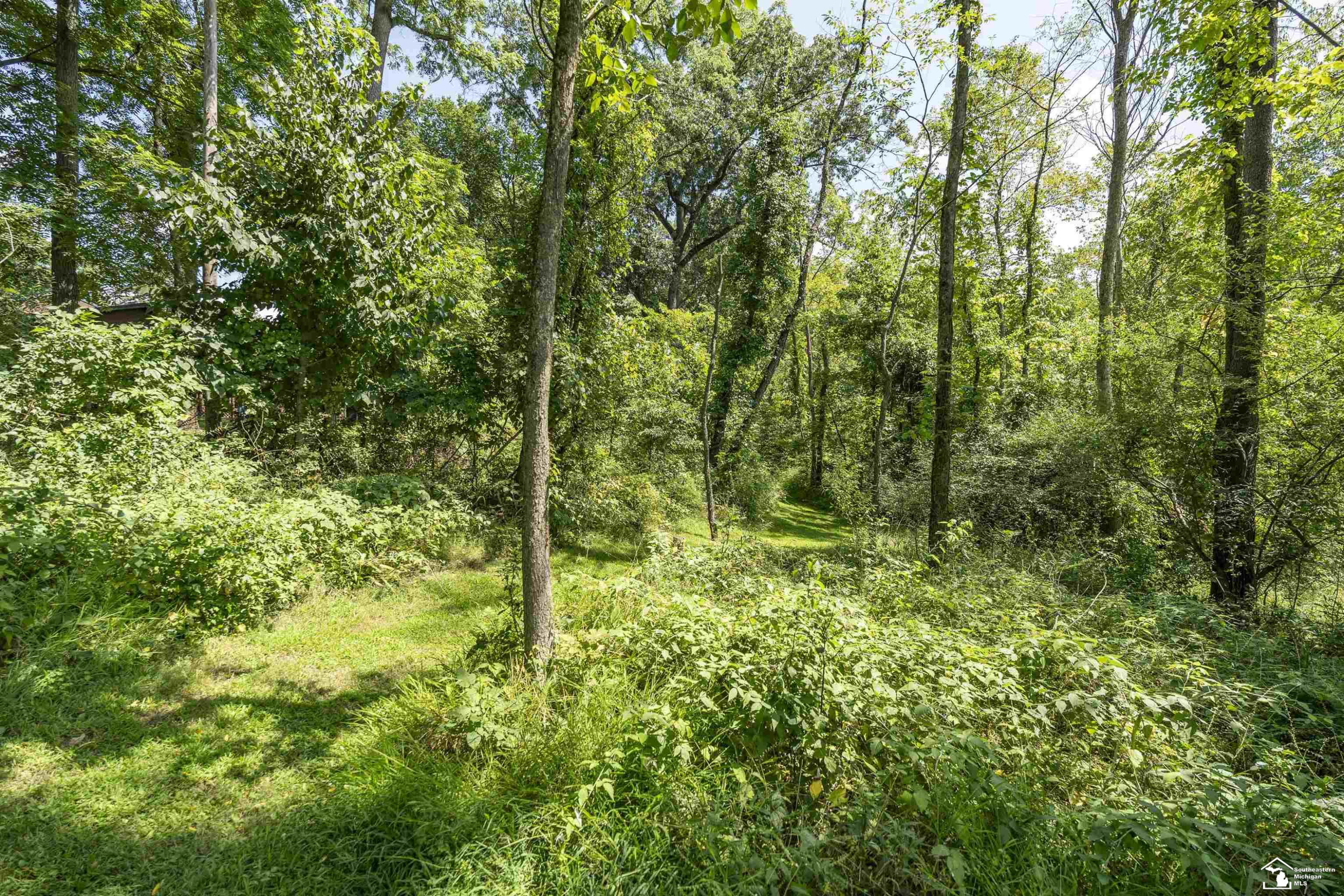12701 Ayres Highway, Tipton, MI 49287 — Photo 58