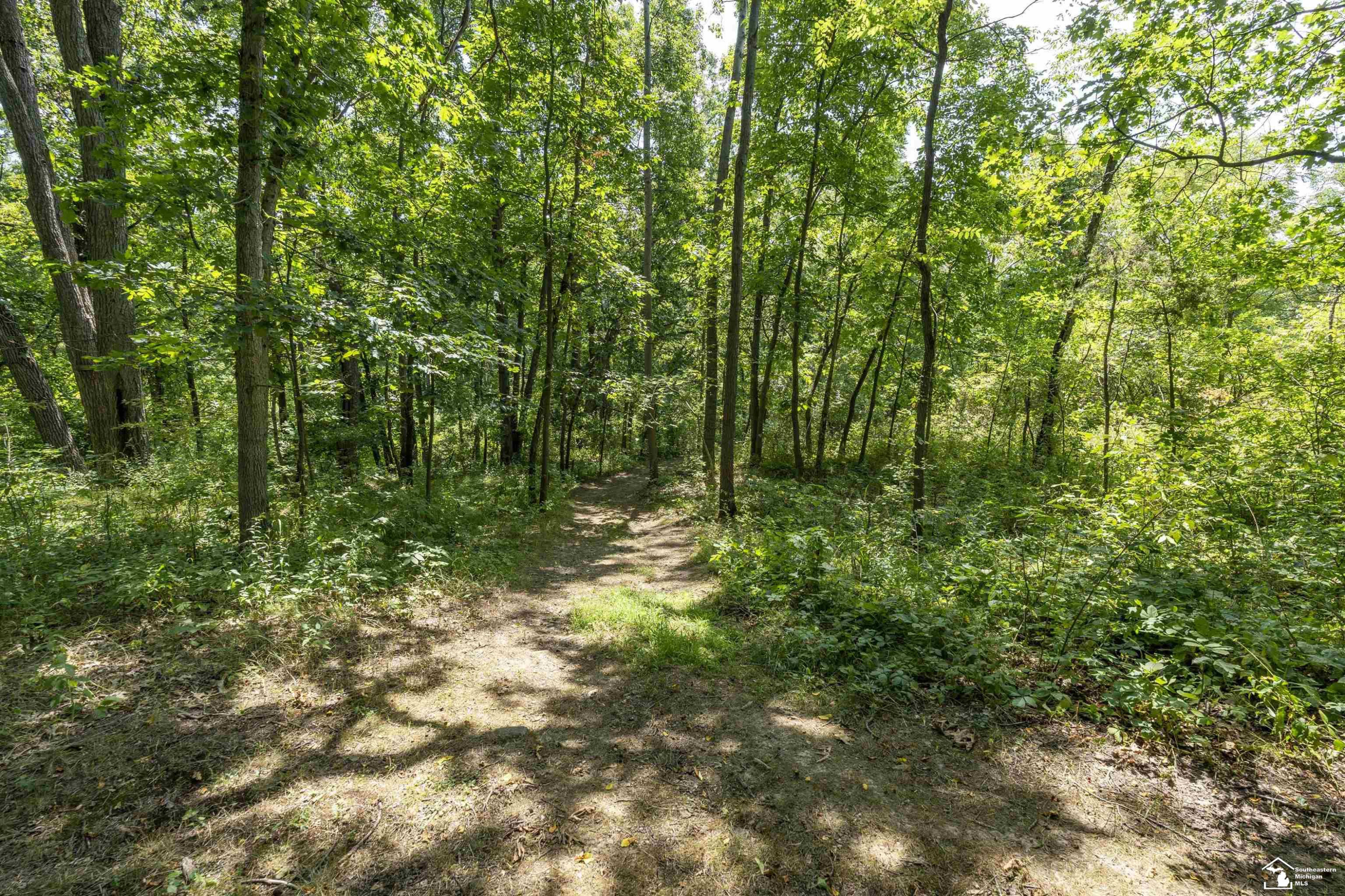 12701 Ayres Highway, Tipton, MI 49287 — Photo 62