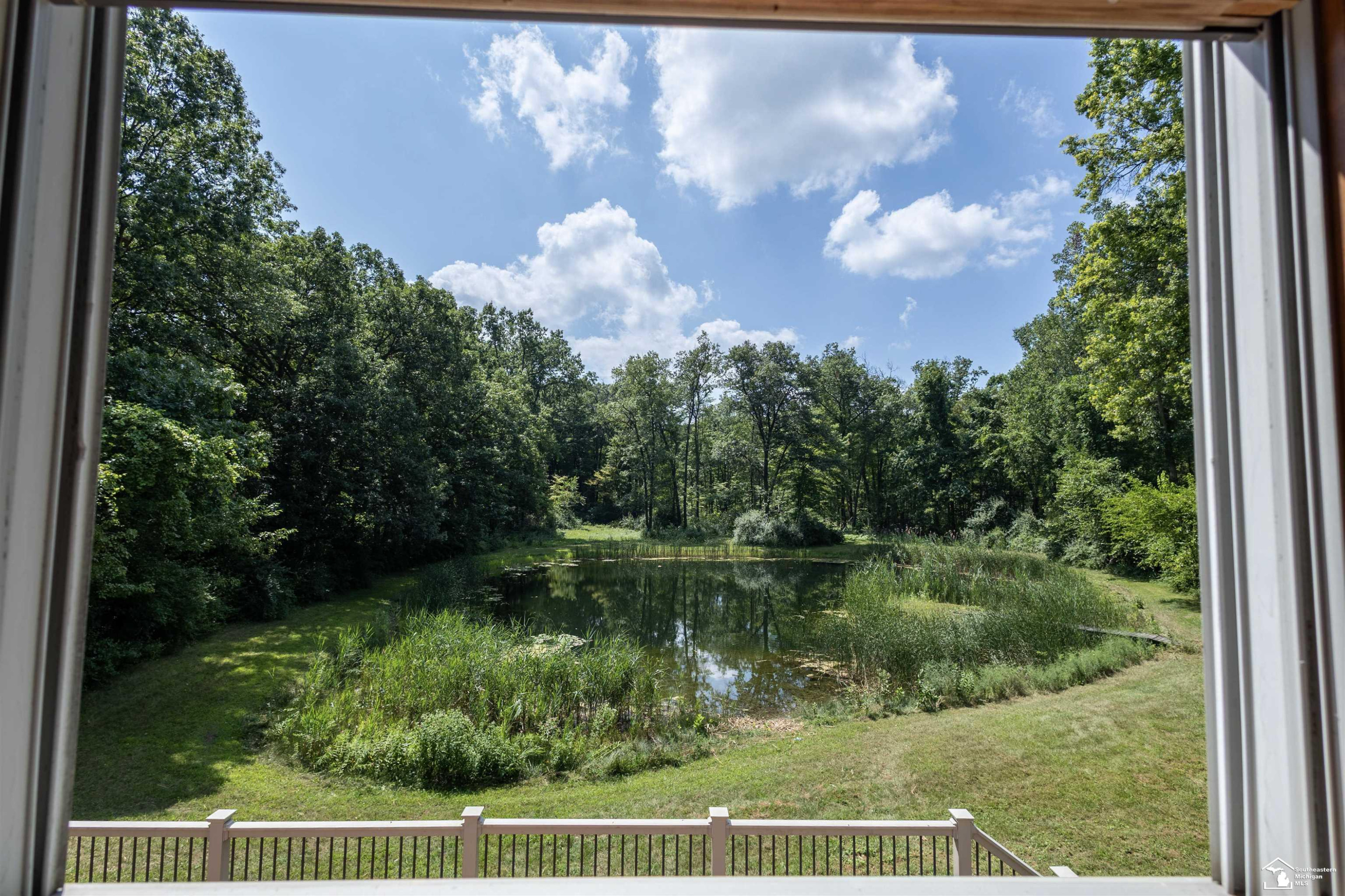 17399 Ida Center Road, Petersburg, MI 49270 — Photo 18