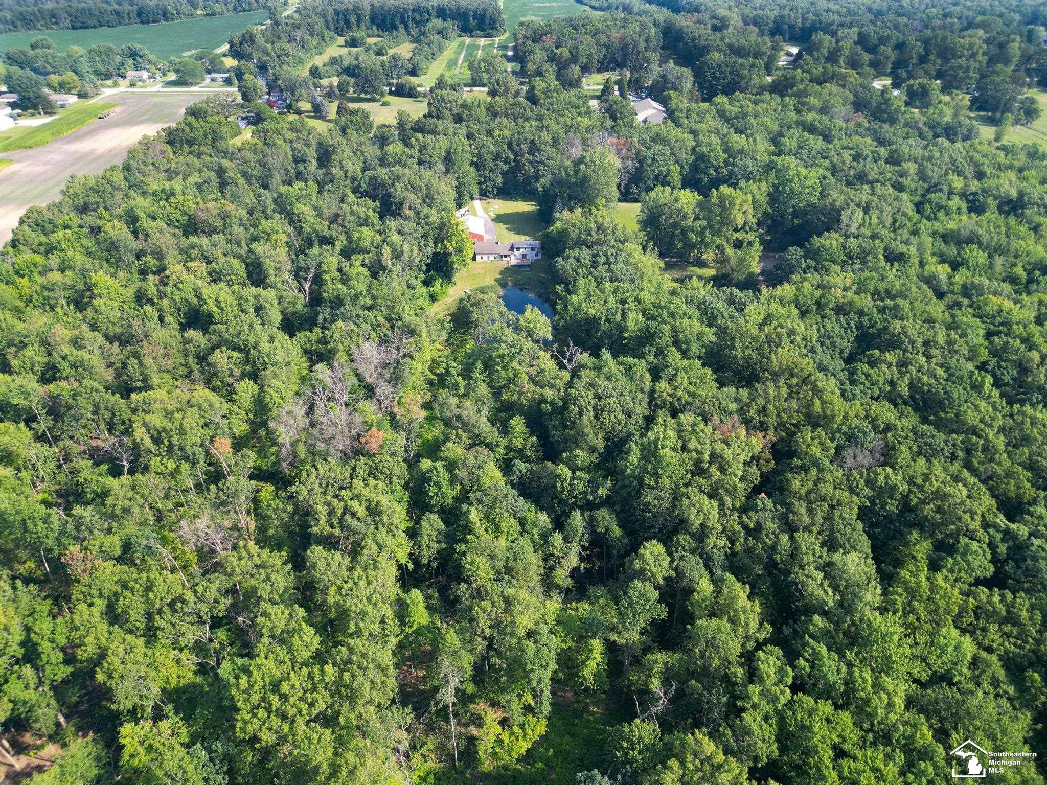 17399 Ida Center Road, Petersburg, MI 49270 — Photo 34