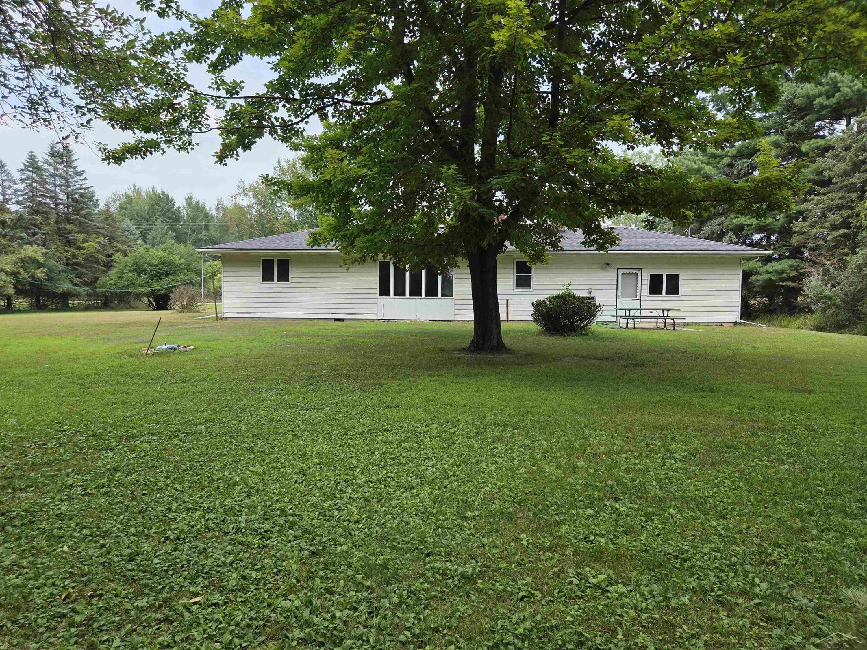 11180 E Jackson Road, Merrill, MI 48637 — Photo 13