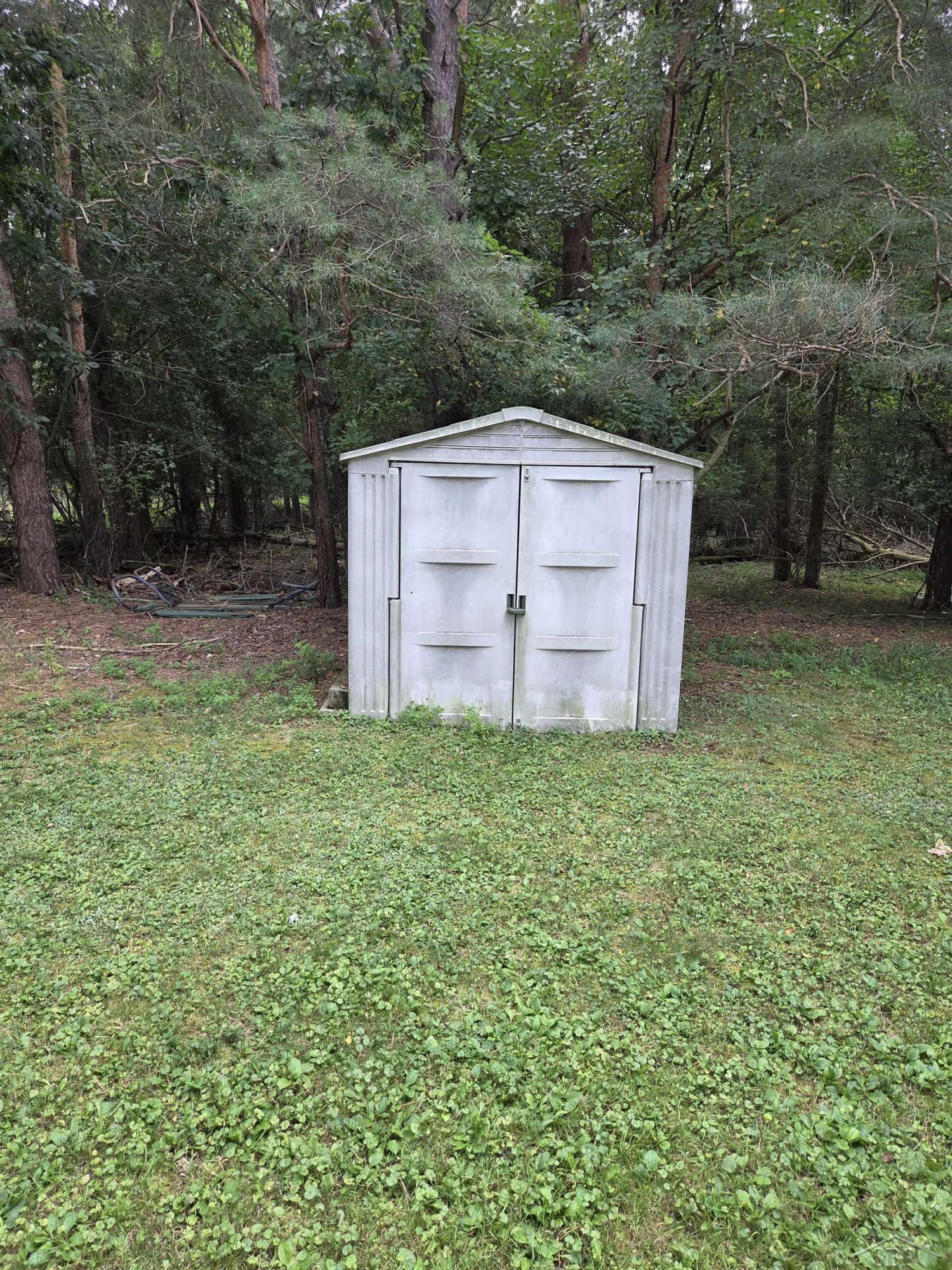 11180 E Jackson Road, Merrill, MI 48637 — Photo 16