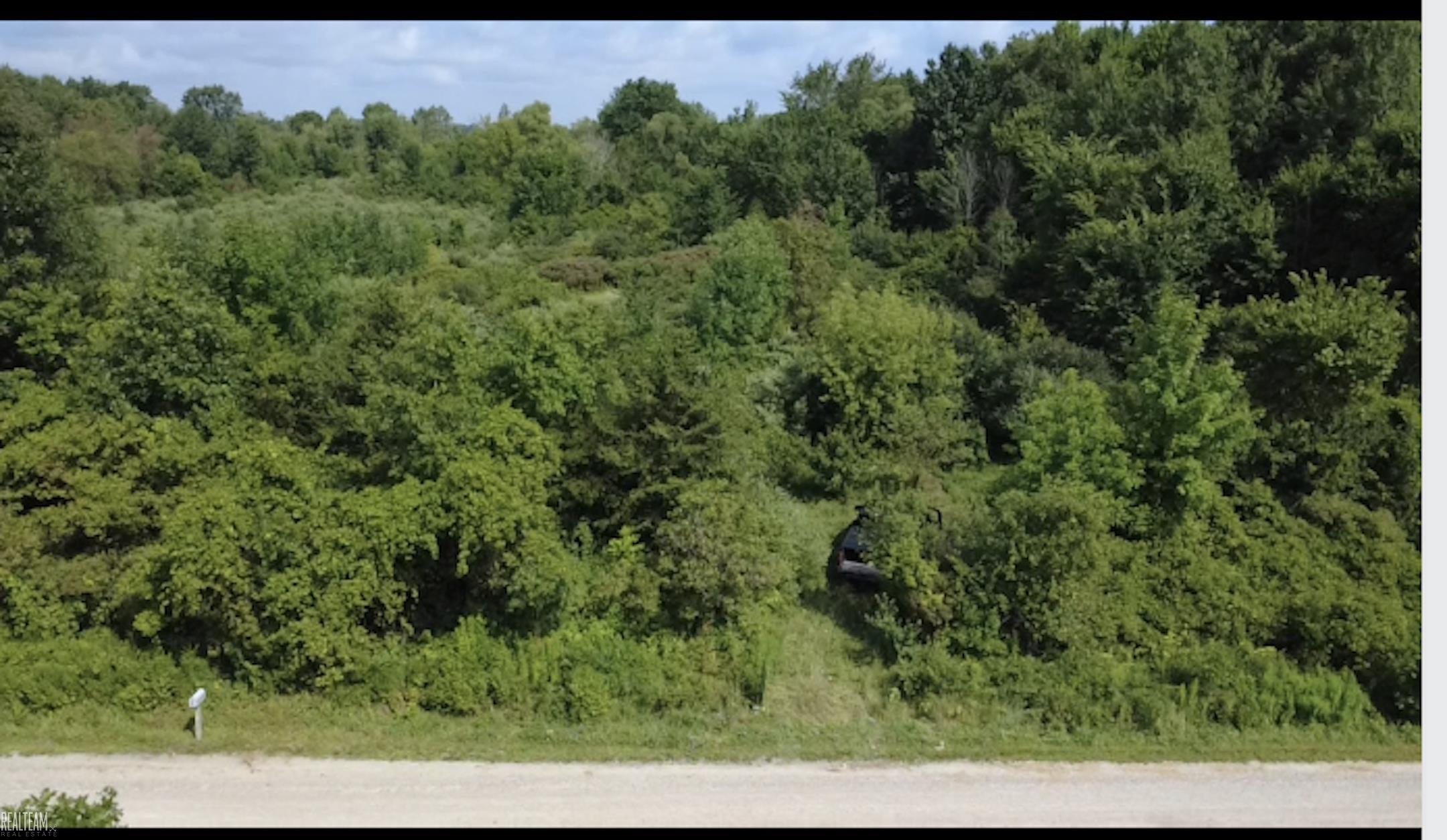 0 Nettney Road, Capac, MI 48014 — Photo 2