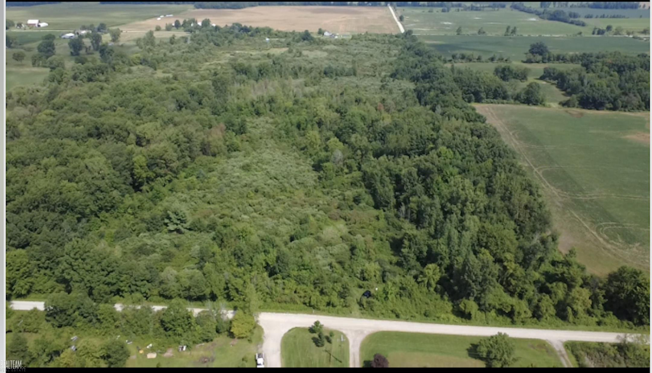 0 Nettney Road, Capac, MI 48014 — Photo 3