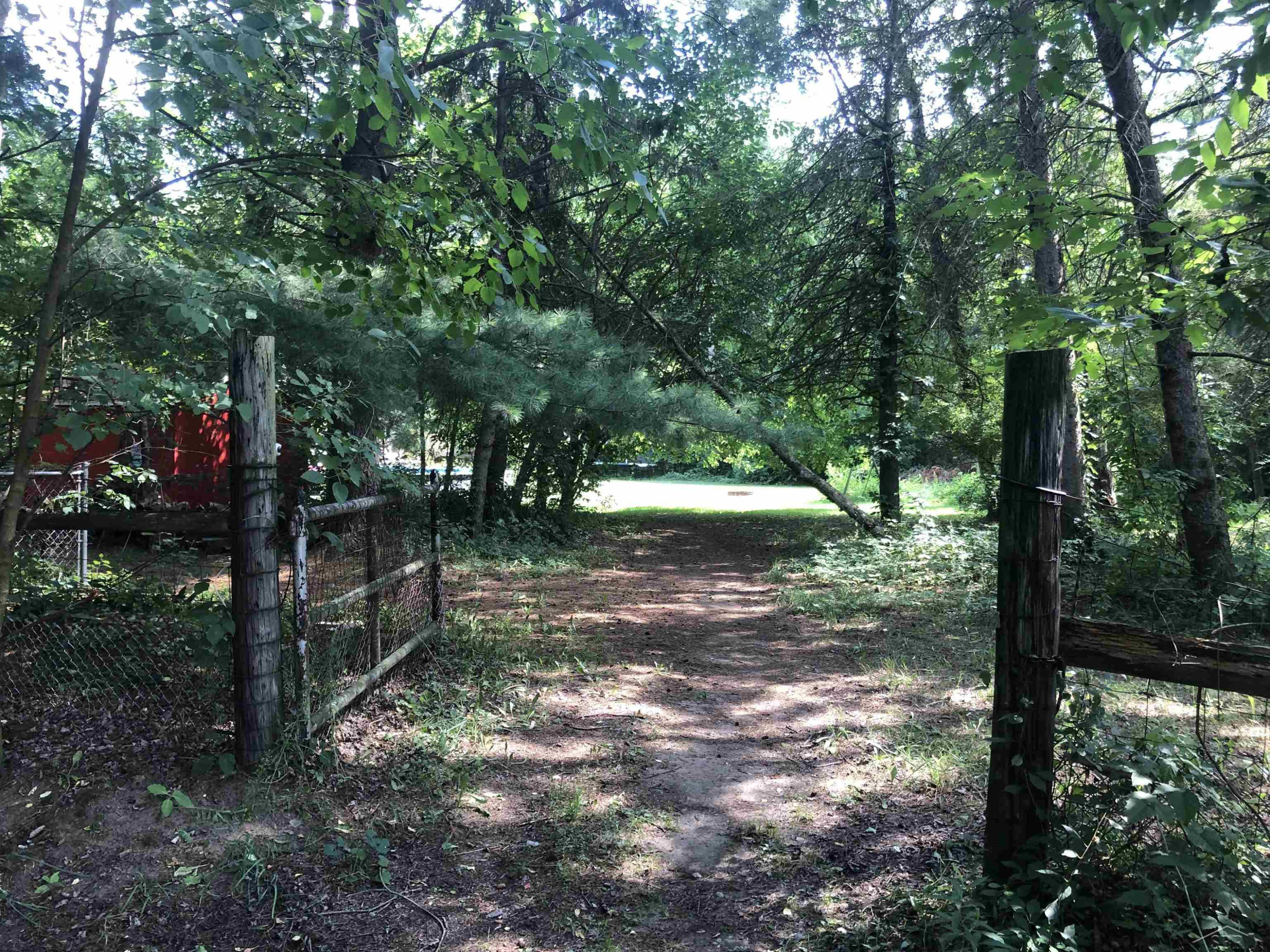 4401 N Hemlock Road, Hemlock, MI 48626 — Photo 13