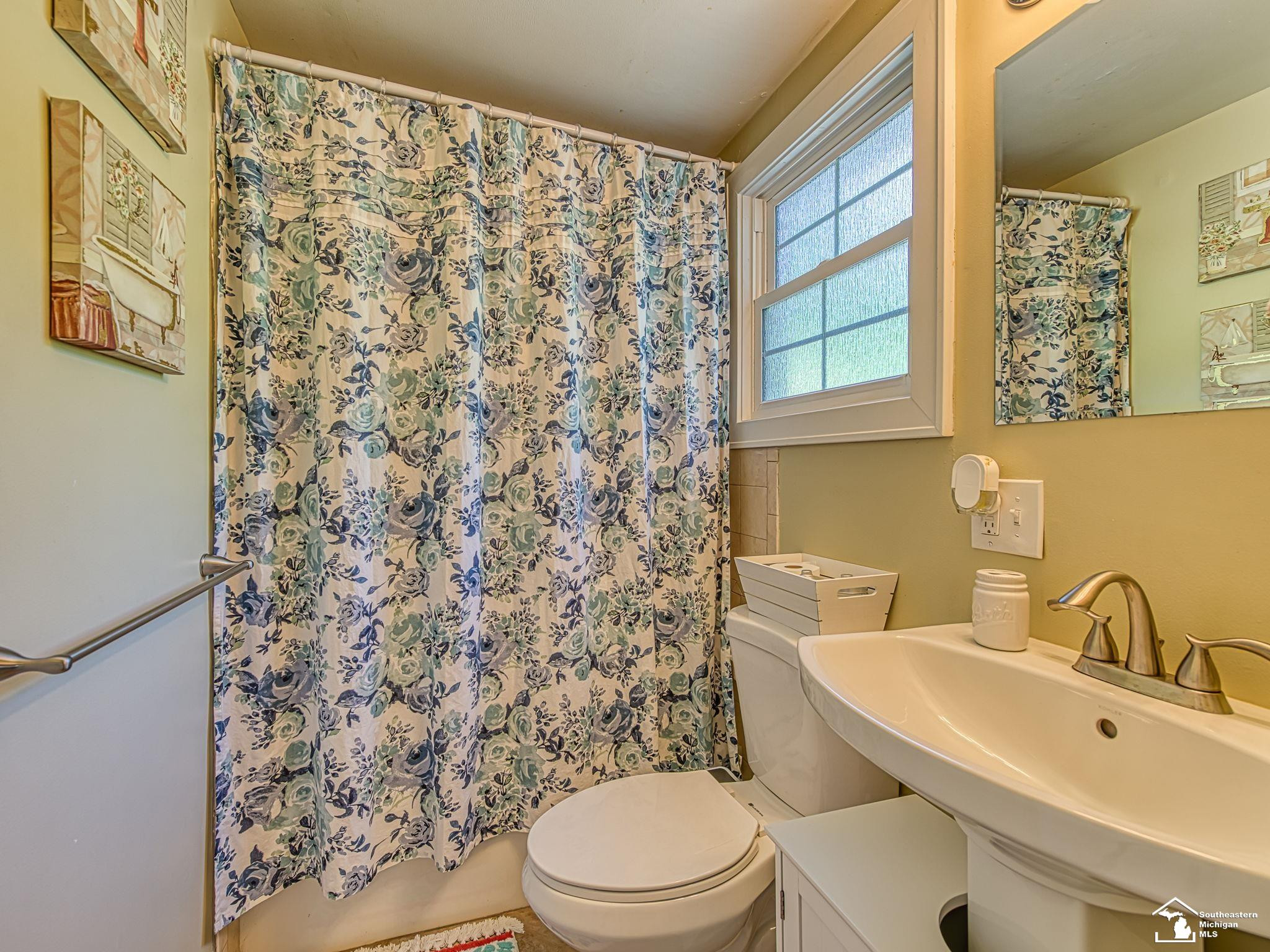405 N Monroe Street, Blissfield, MI 49228 — Photo 29