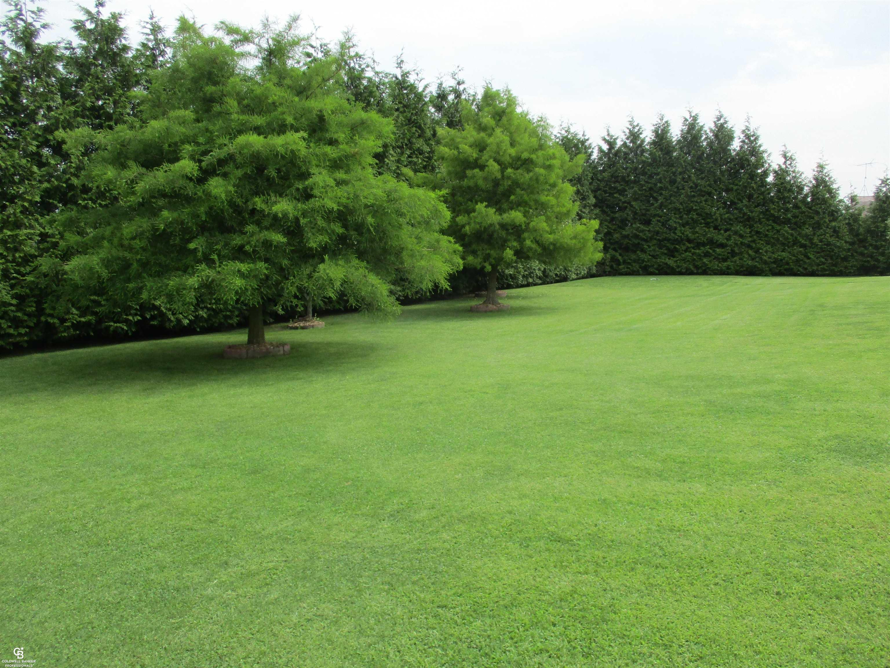 31375 Dayton Road, MI 48062 — Photo 56