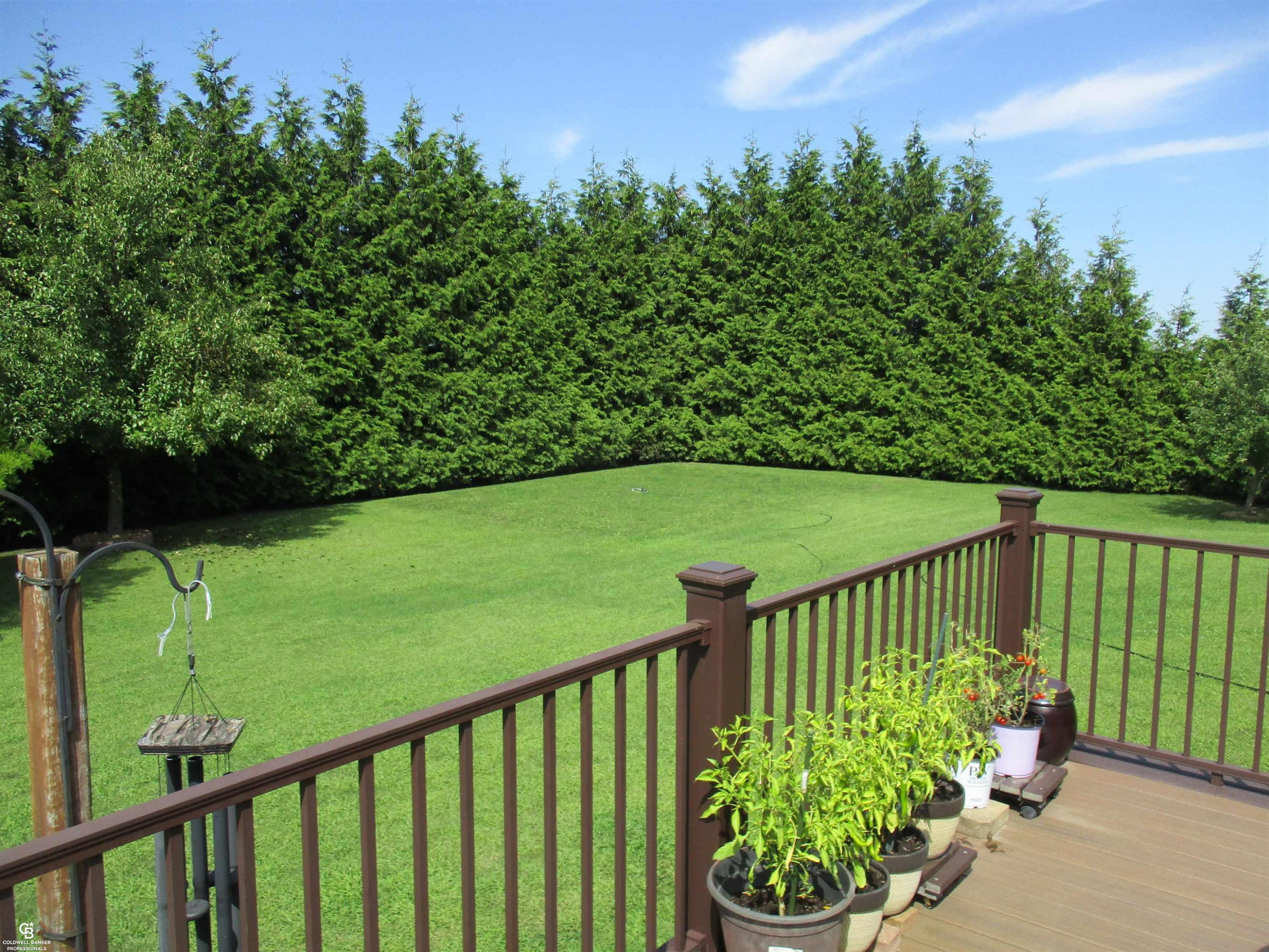 31375 Dayton Road, MI 48062 — Photo 33