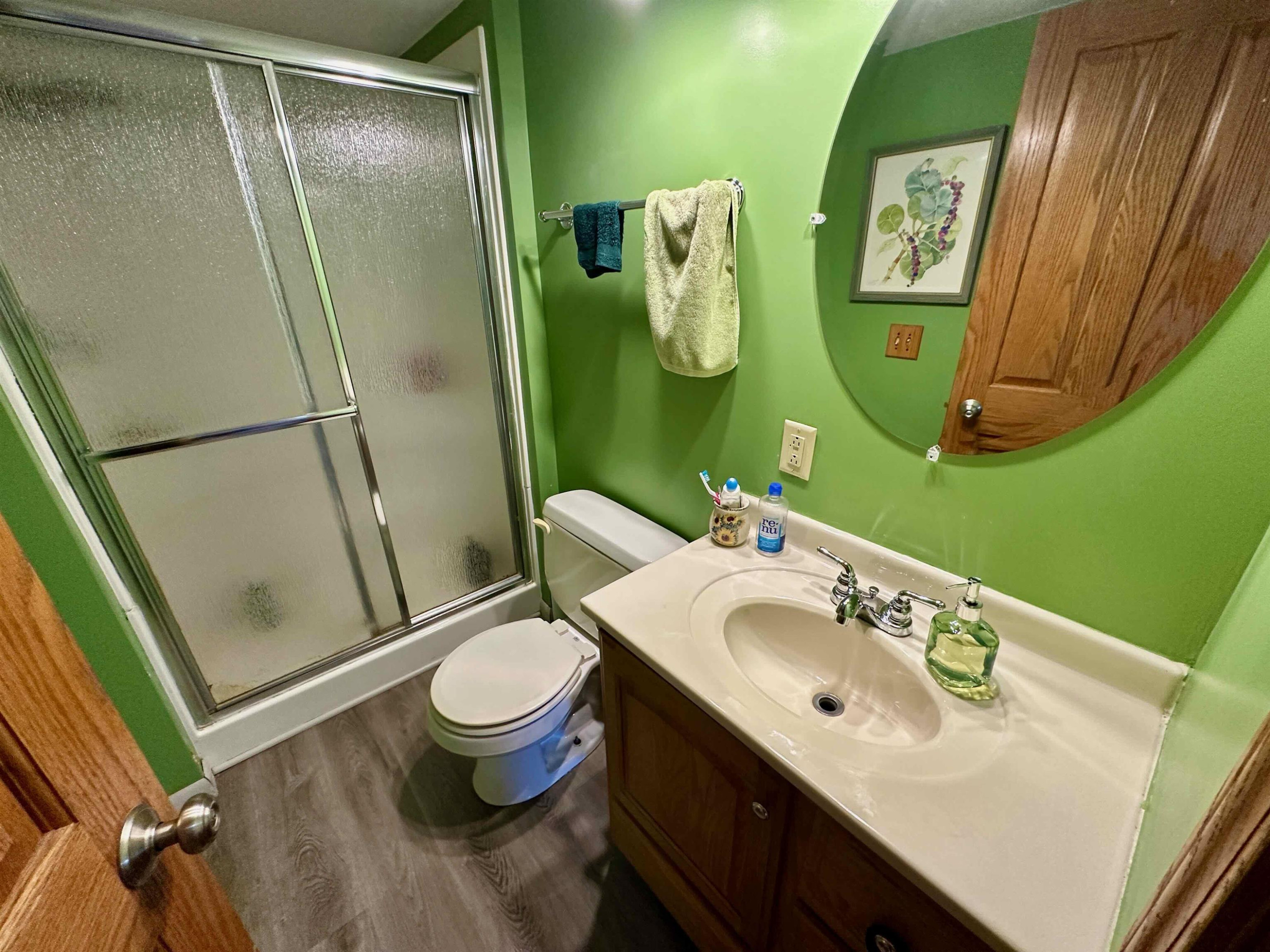18787 Corunna Road, Chesaning, MI 48616 — Photo 26