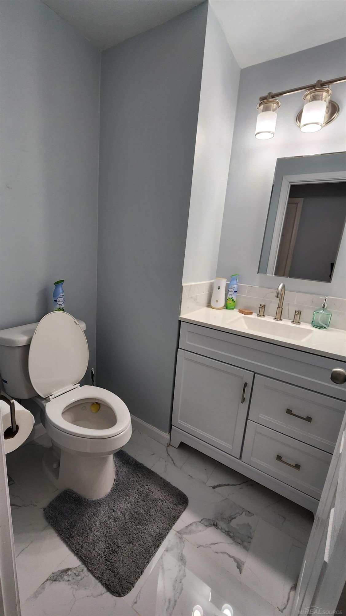 808 Lotus Drive, Erie, MI — Photo 19