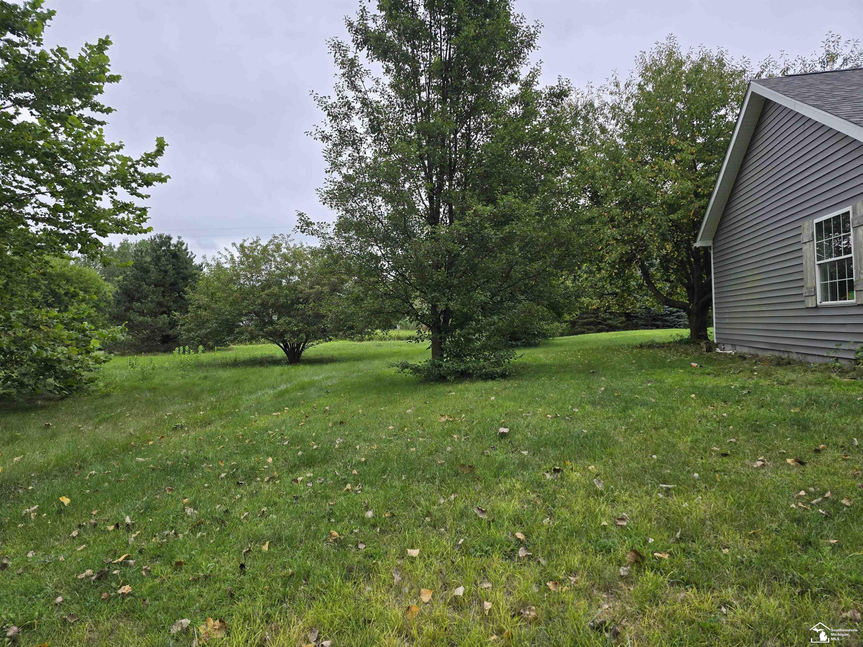 6654 Alcott Road, Petersburg, MI 49270 — Photo 3