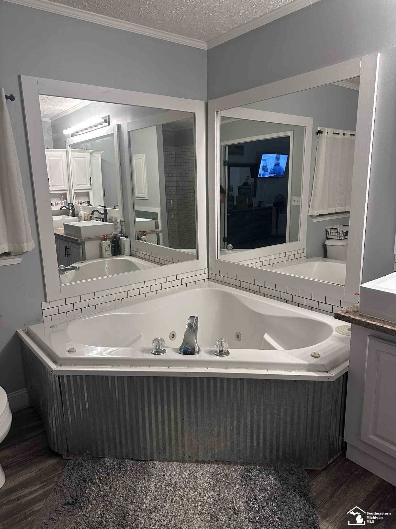 6654 Alcott Road, Petersburg, MI 49270 — Photo 27