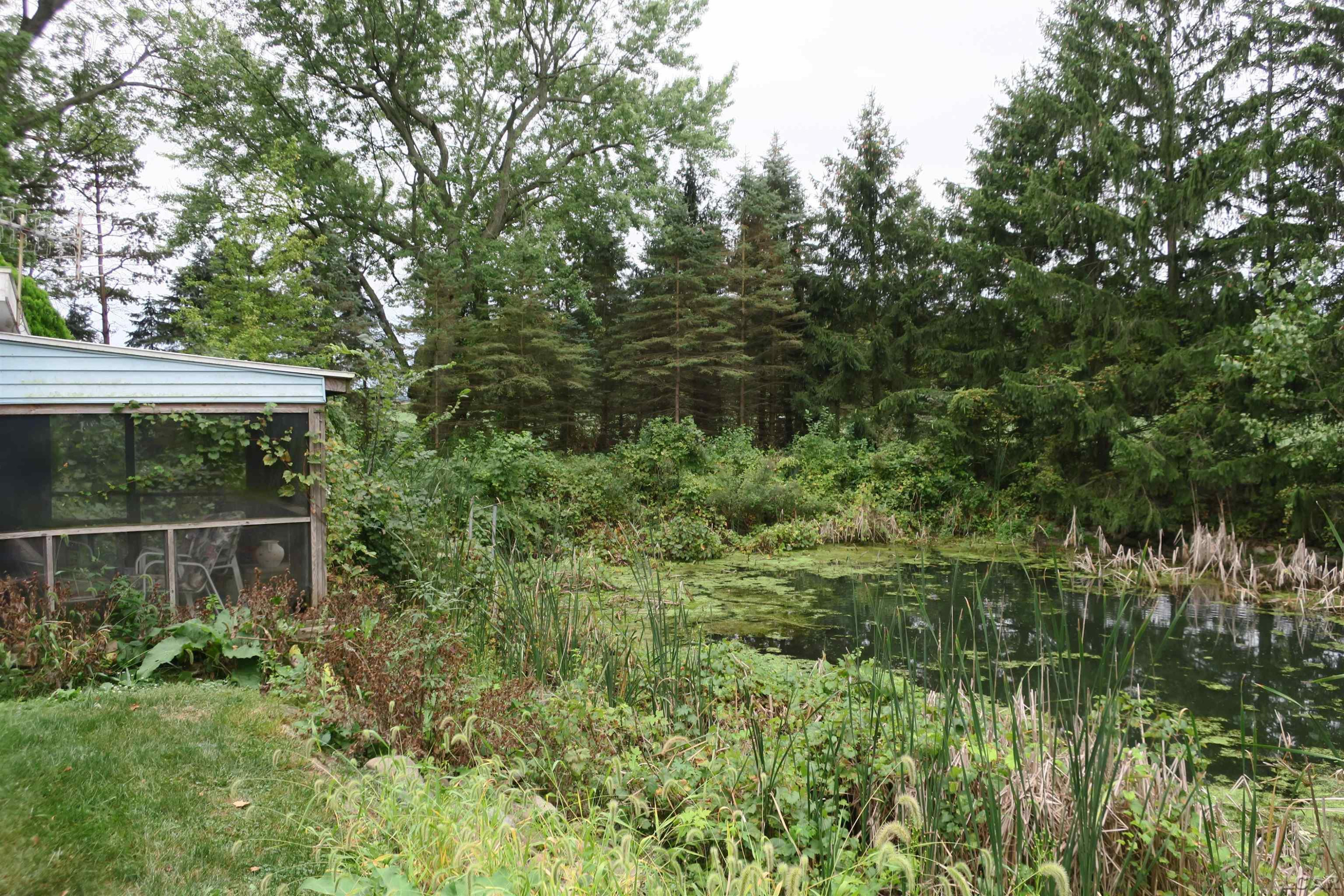 9804 Berkey Highway, Blissfield, MI 49228 — Photo 14