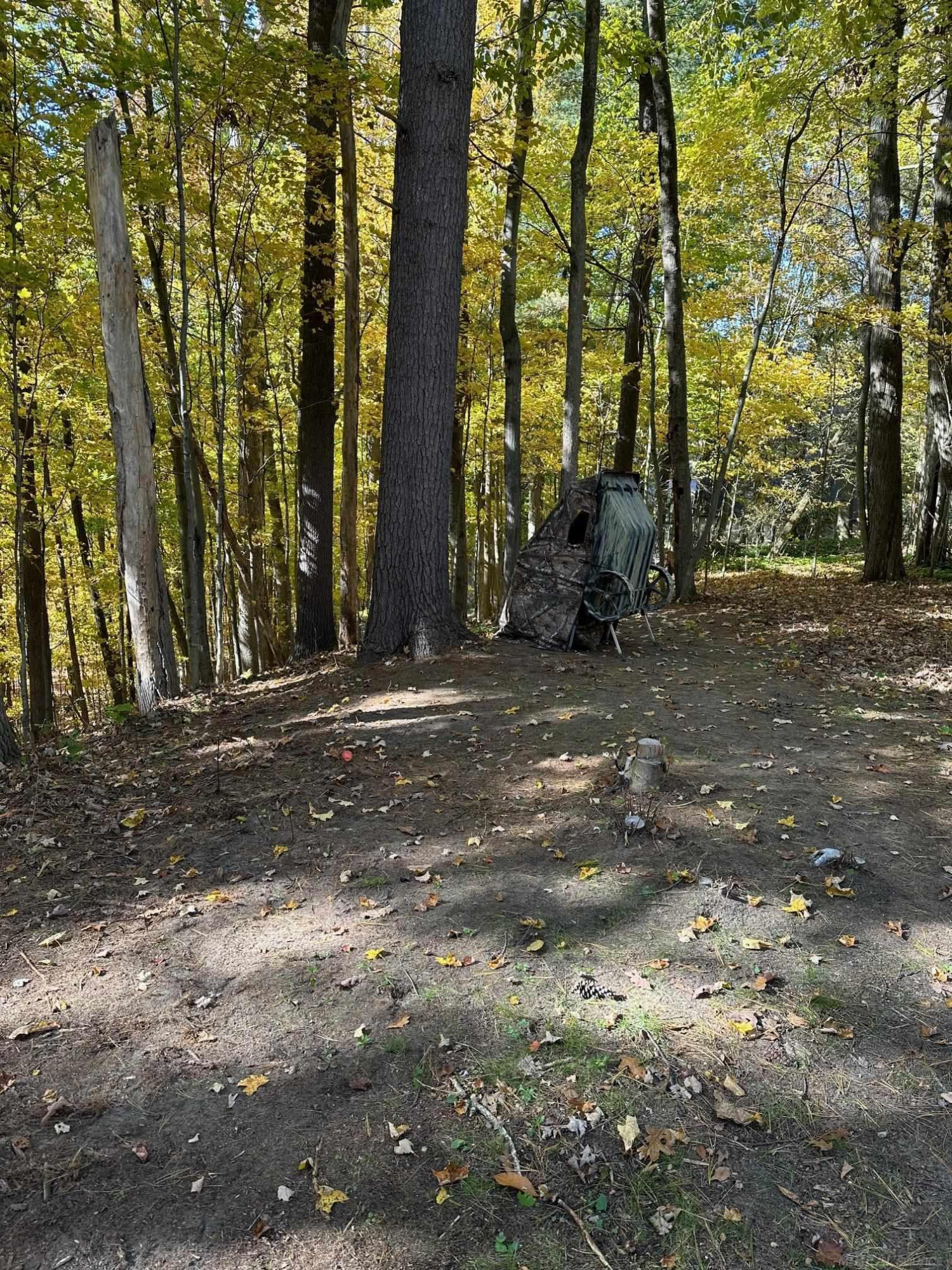 5699 Sycamore Lane, MI 48049 — Photo 18