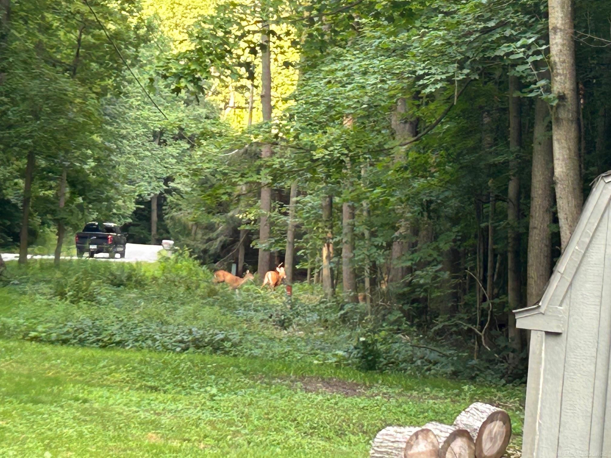 5699 Sycamore Lane, MI 48049 — Photo 24