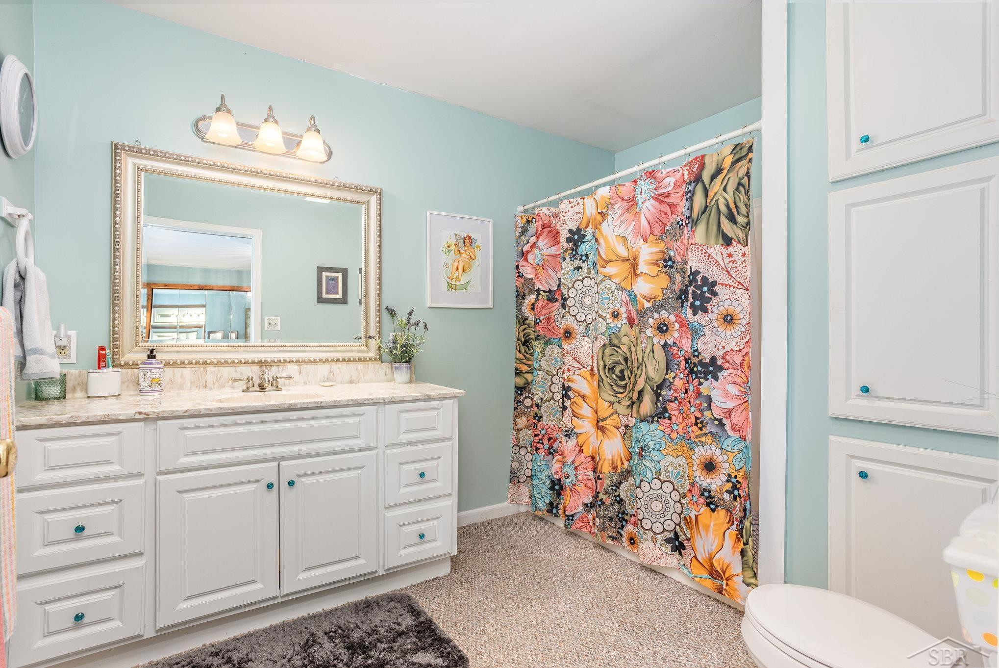 232 Henry Street, Hemlock, MI 48626 — Photo 17