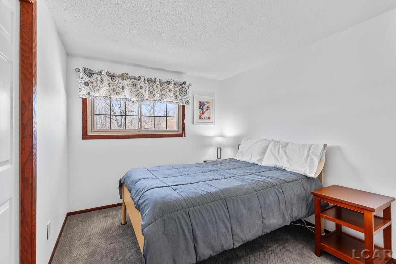 15005 Wellwood Road, Tipton, MI 49287 — Photo 17