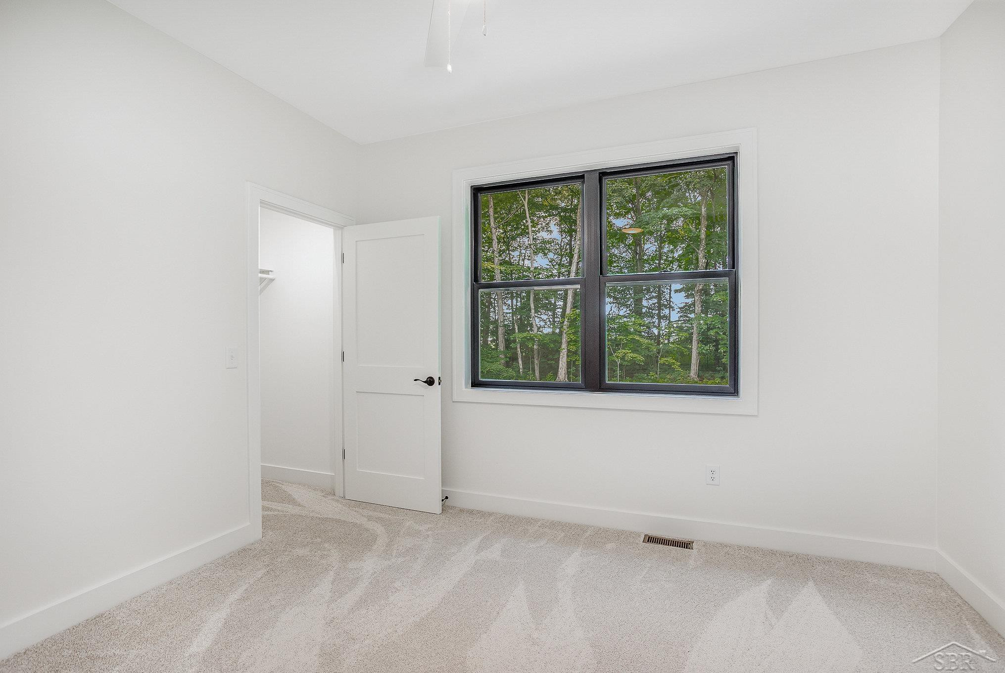 9841 Beech Tree Lane, Frankenmuth, MI 48734 — Photo 28