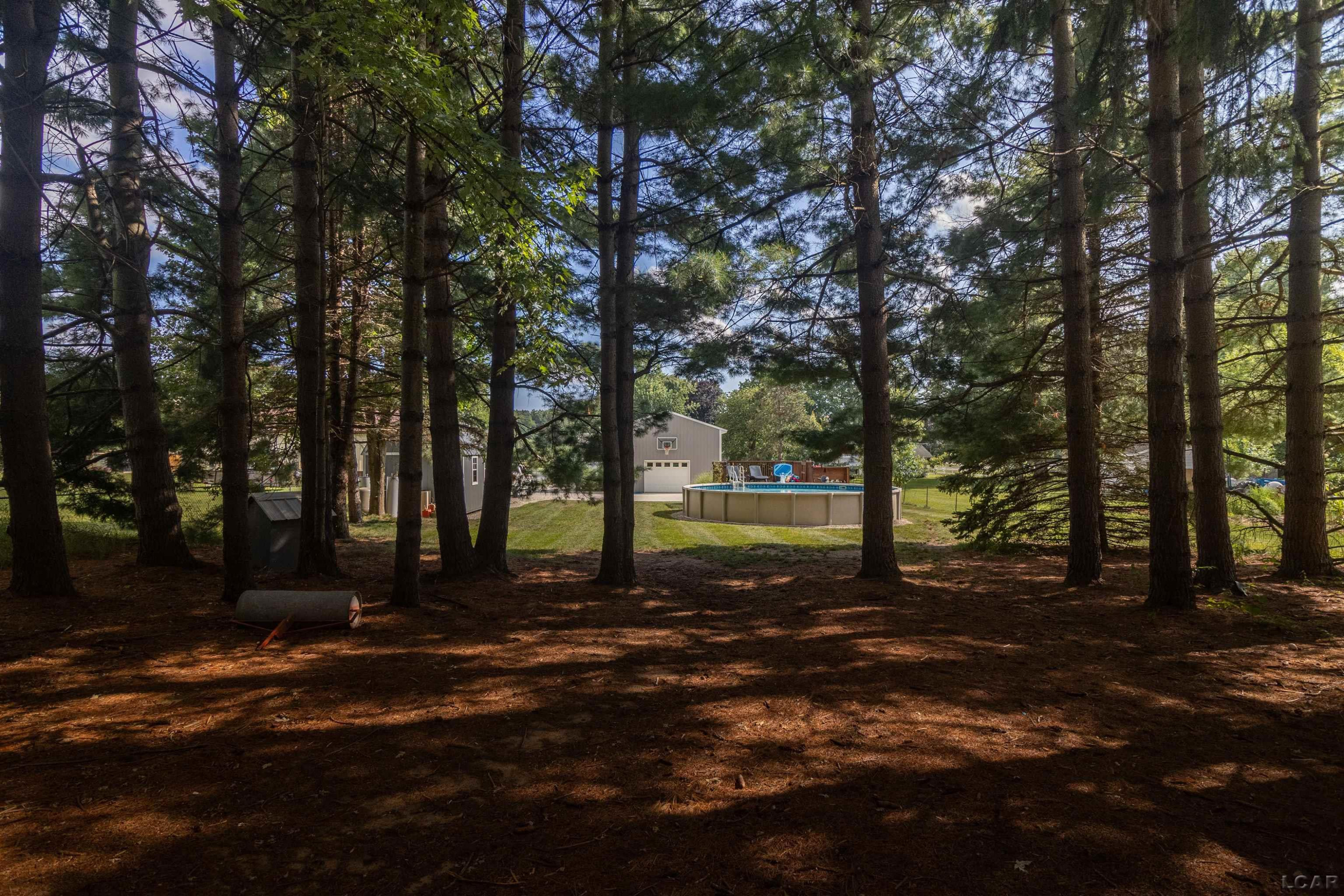 2816 Sharp Road, Adrian, MI 49221 — Photo 50