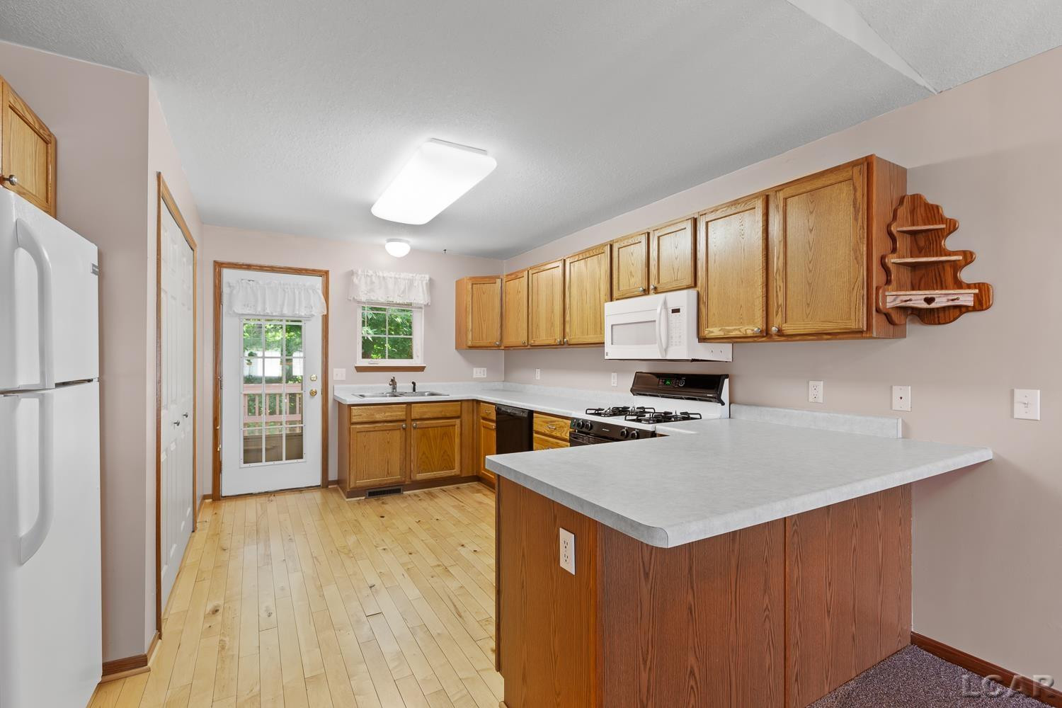 302 Lakewood Drive, Adrian, MI 49221 — Photo 9
